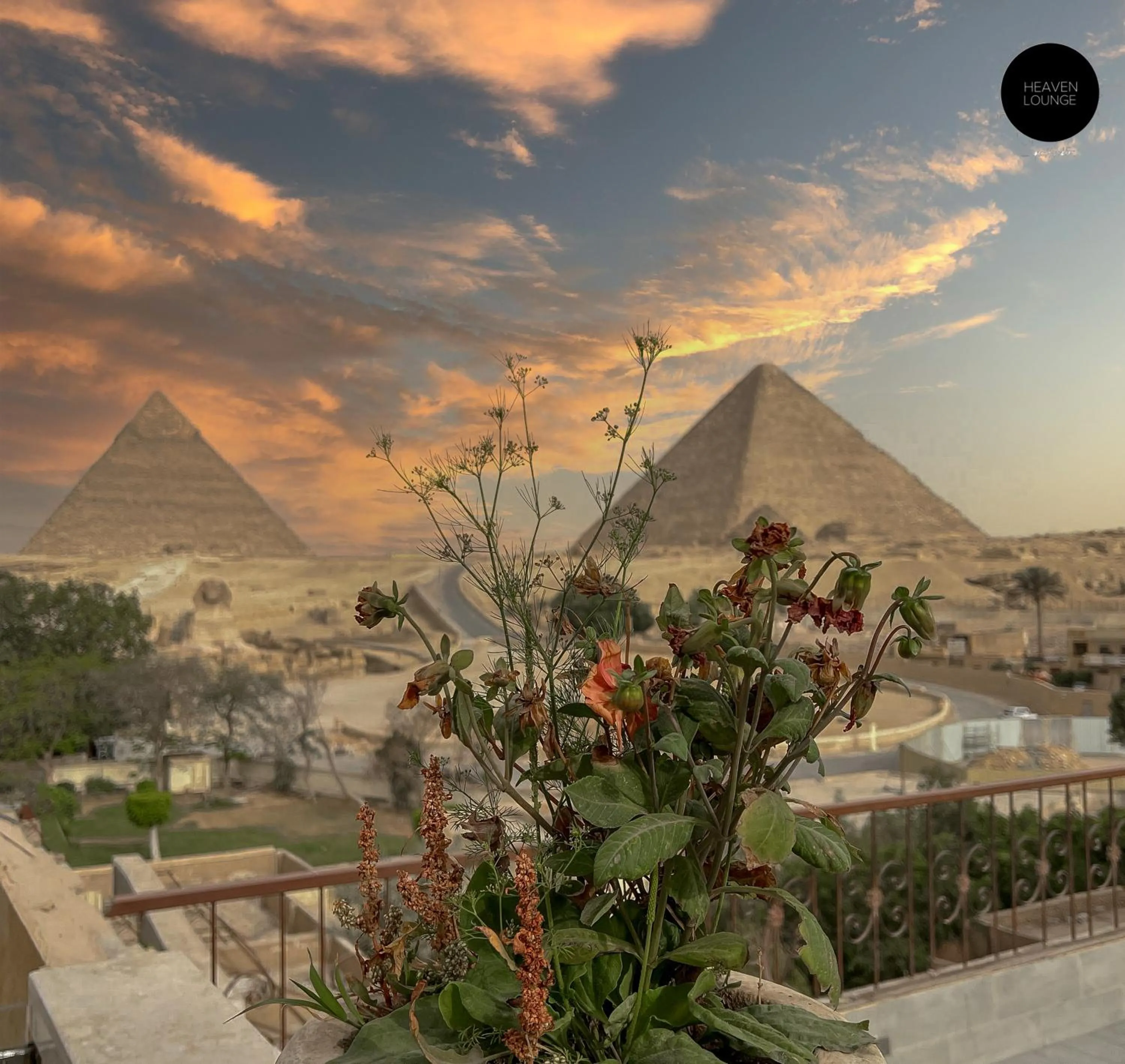 Garden in Giza Pyramids View Inn
