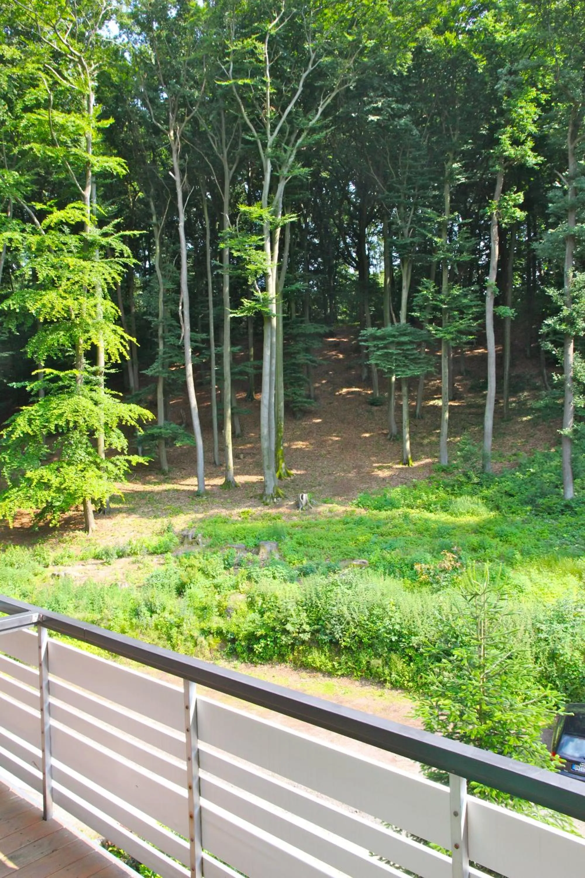 View (from property/room) in Waldhotel Porta Westfalica