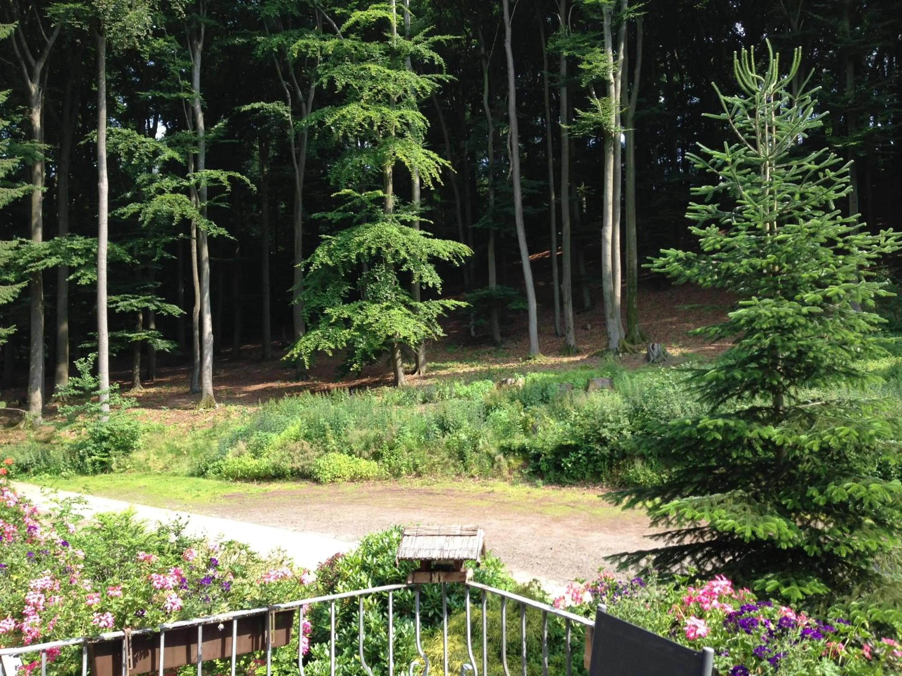 Day in Waldhotel Porta Westfalica