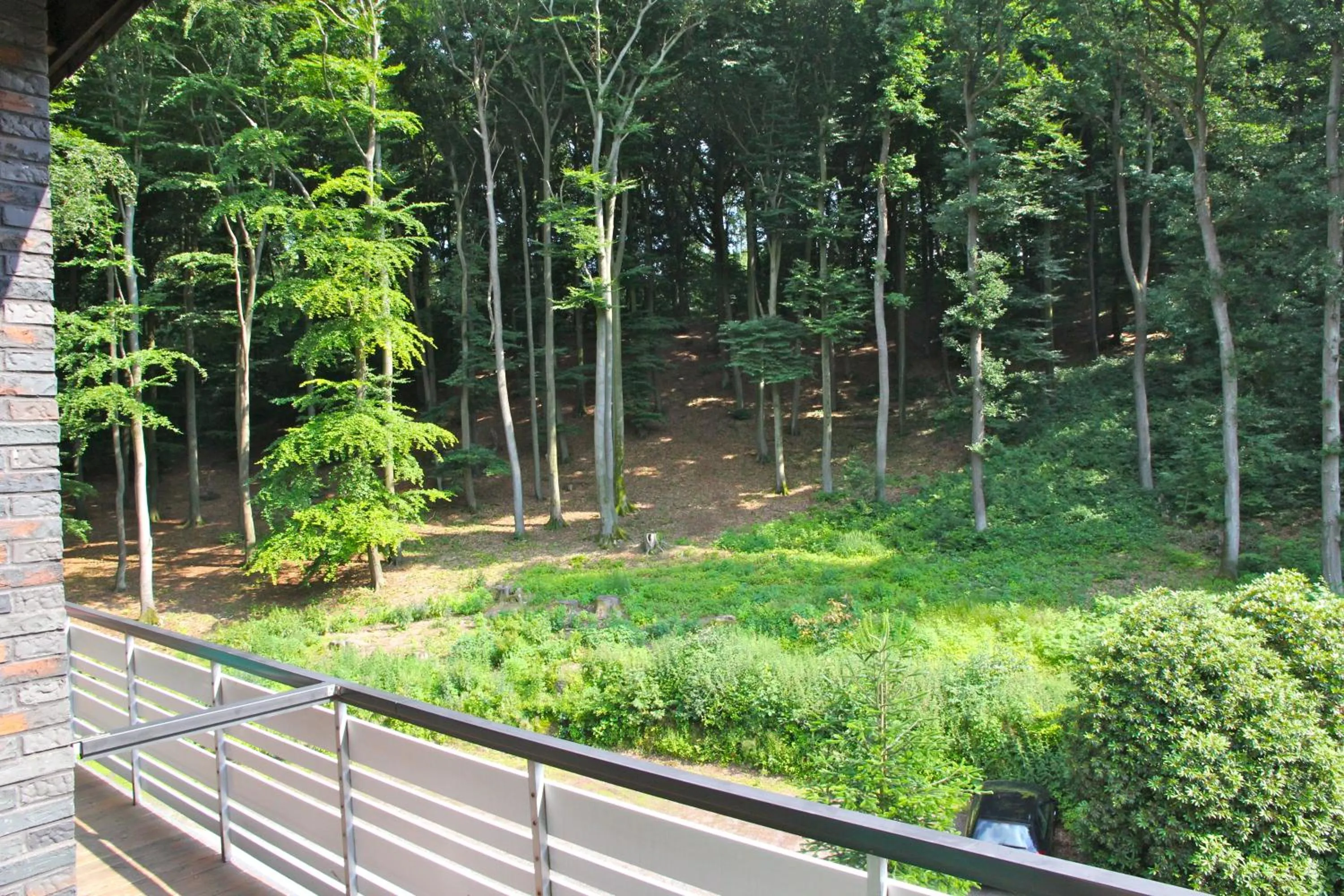 View (from property/room) in Waldhotel Porta Westfalica