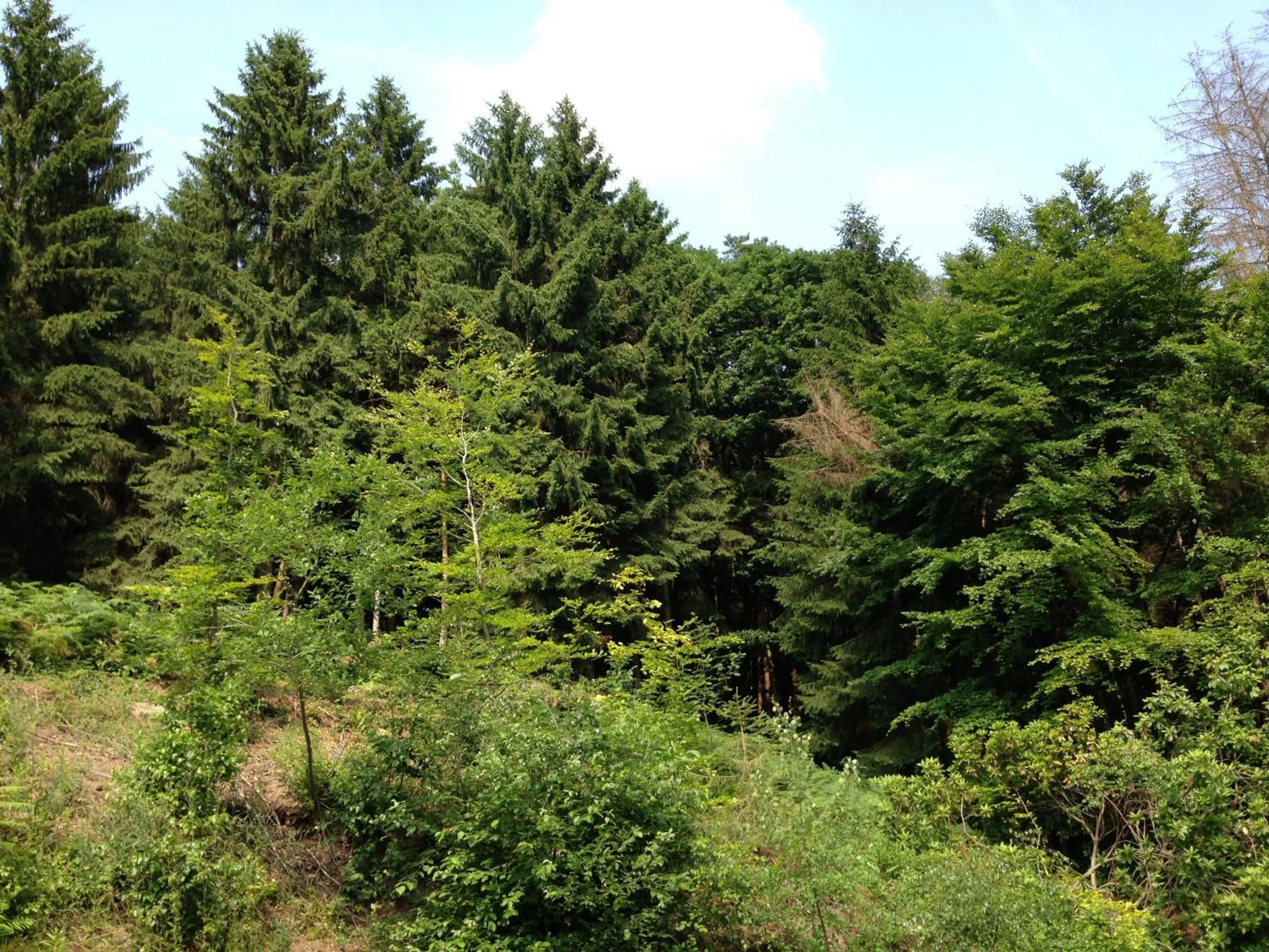 Natural landscape in Waldhotel Porta Westfalica
