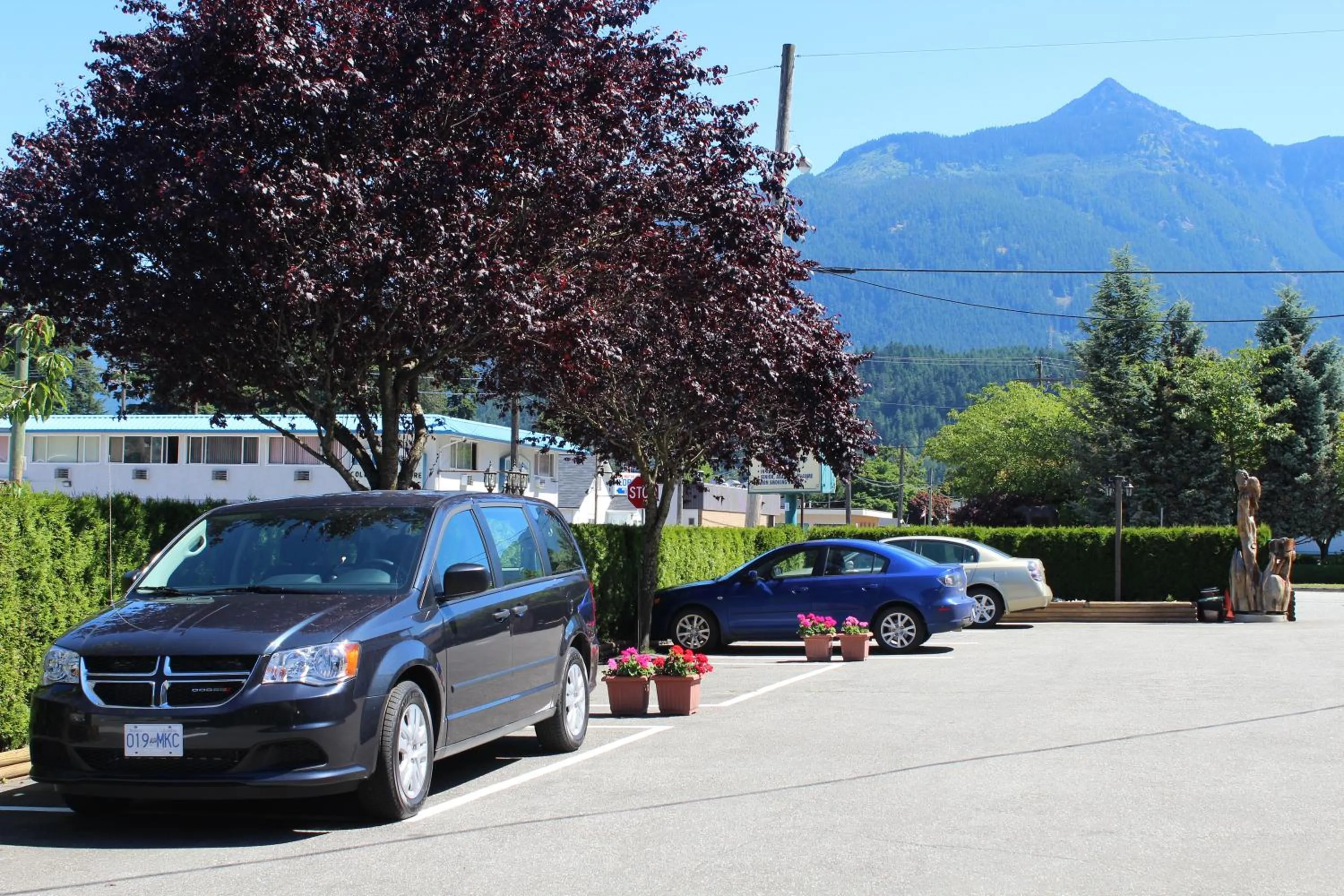 Property building in Best Continental Motel