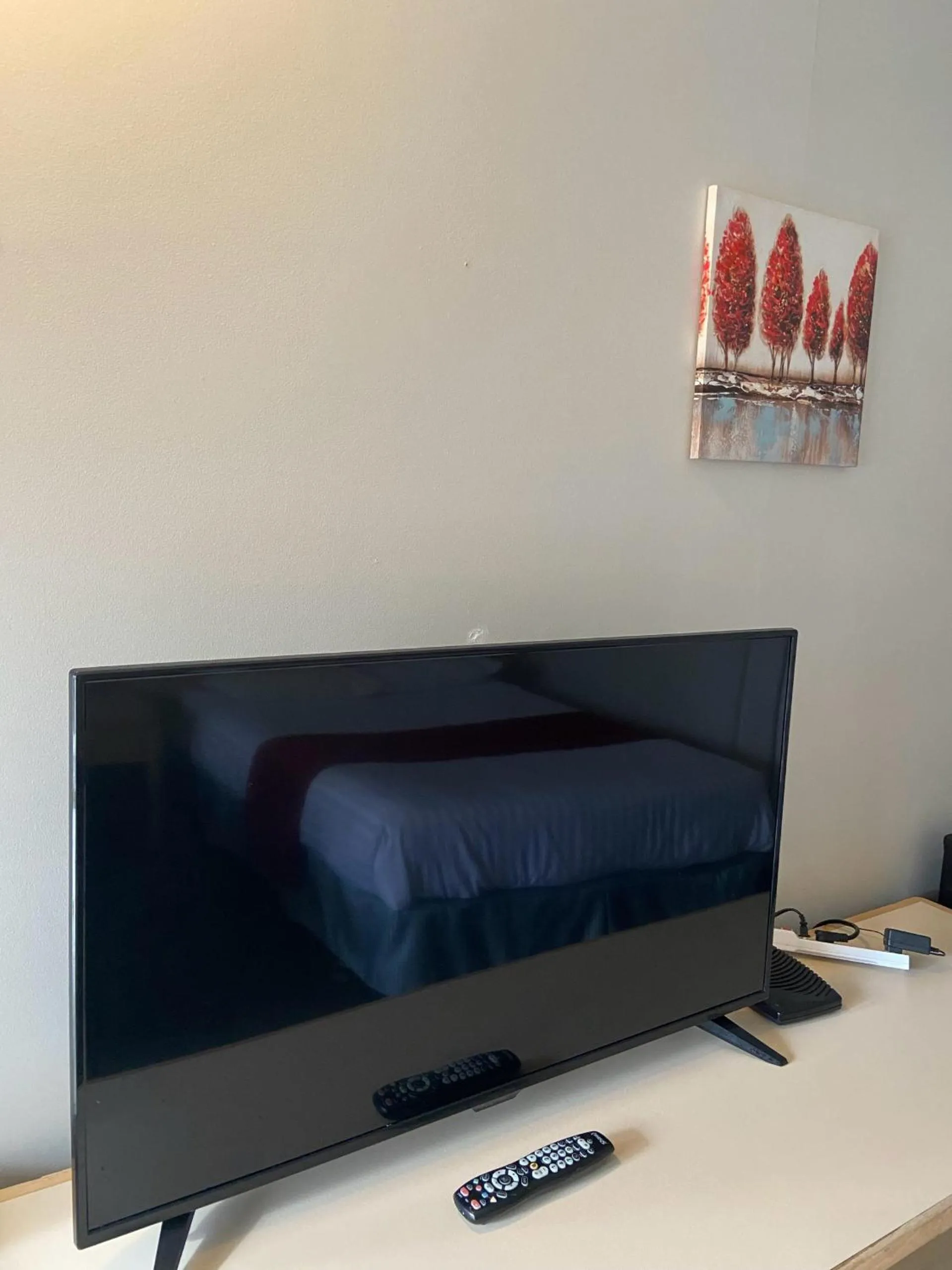 TV and multimedia in Slumber Lodge