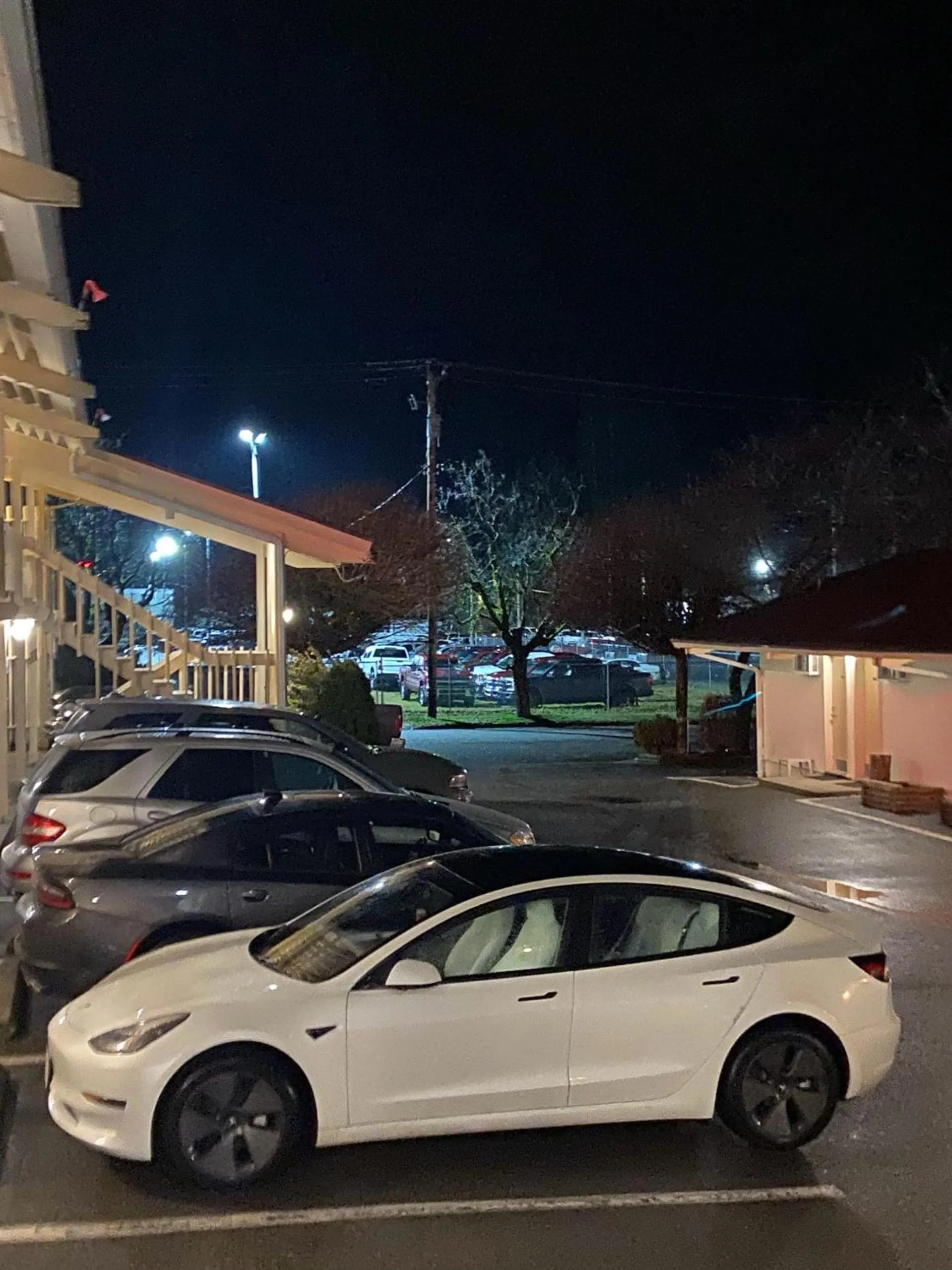 Night in Slumber Lodge