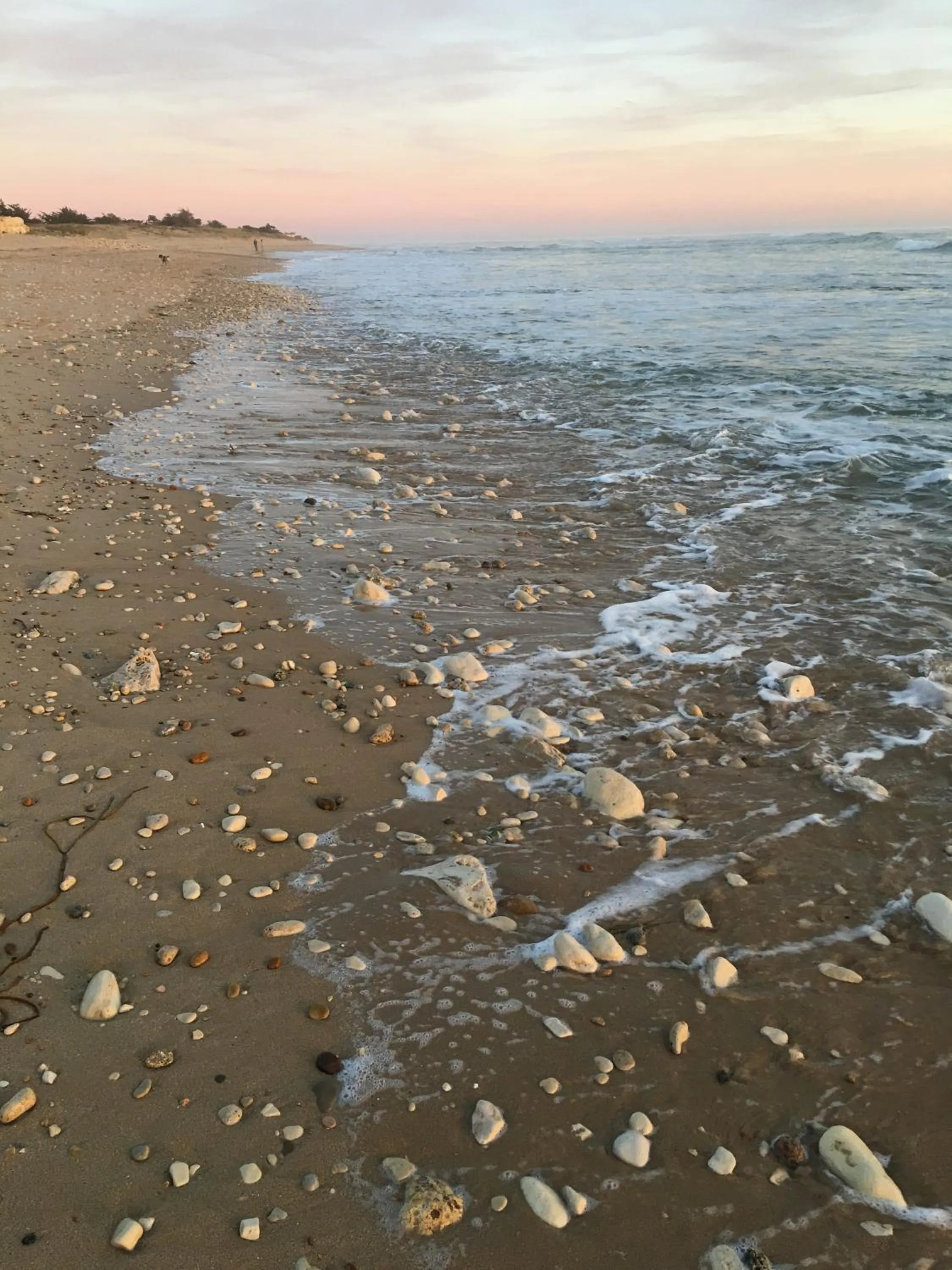 Other in Maison d’hôtes Les Ajoncs