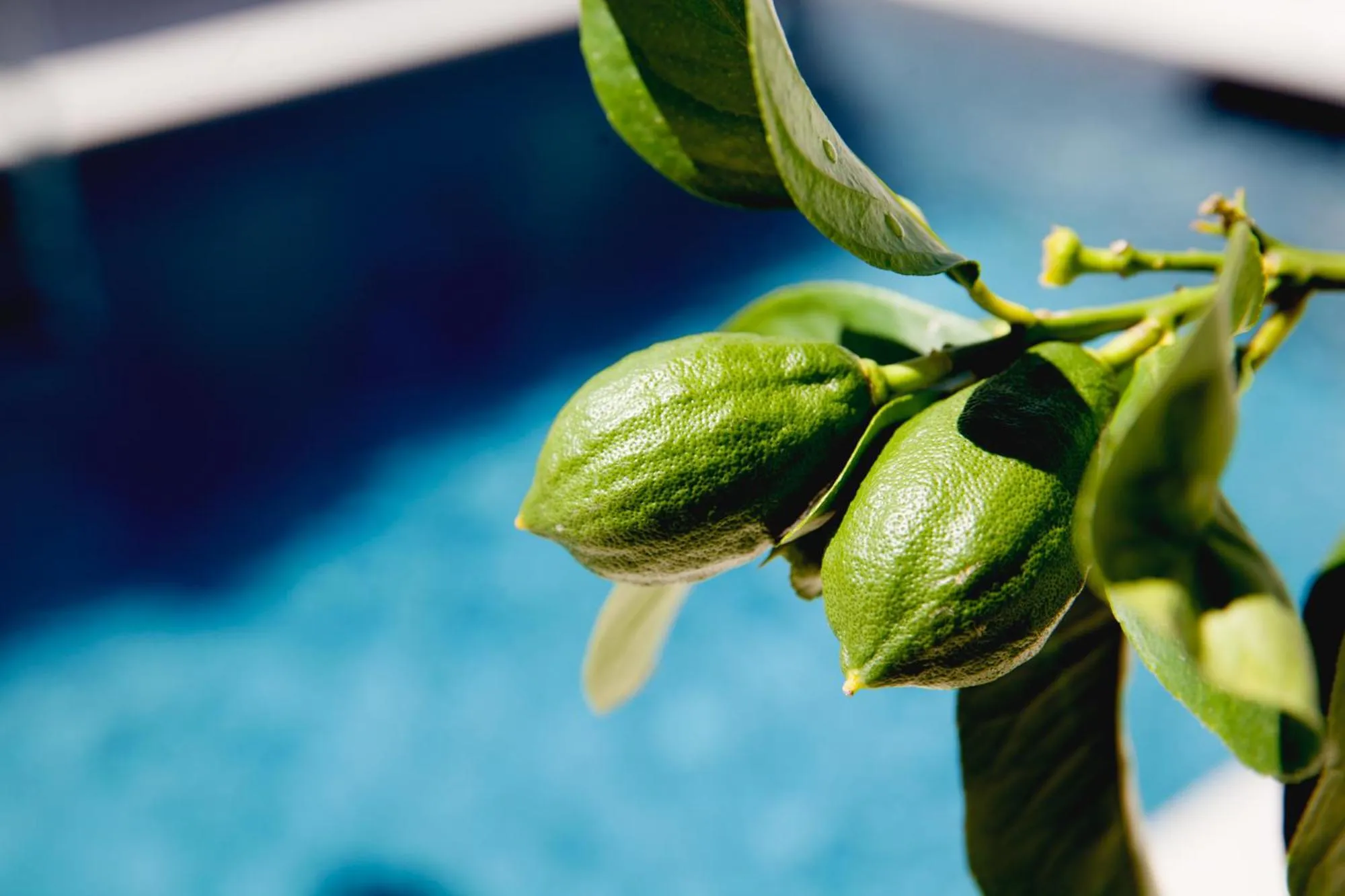 Other in Maison d’hôtes Les Ajoncs