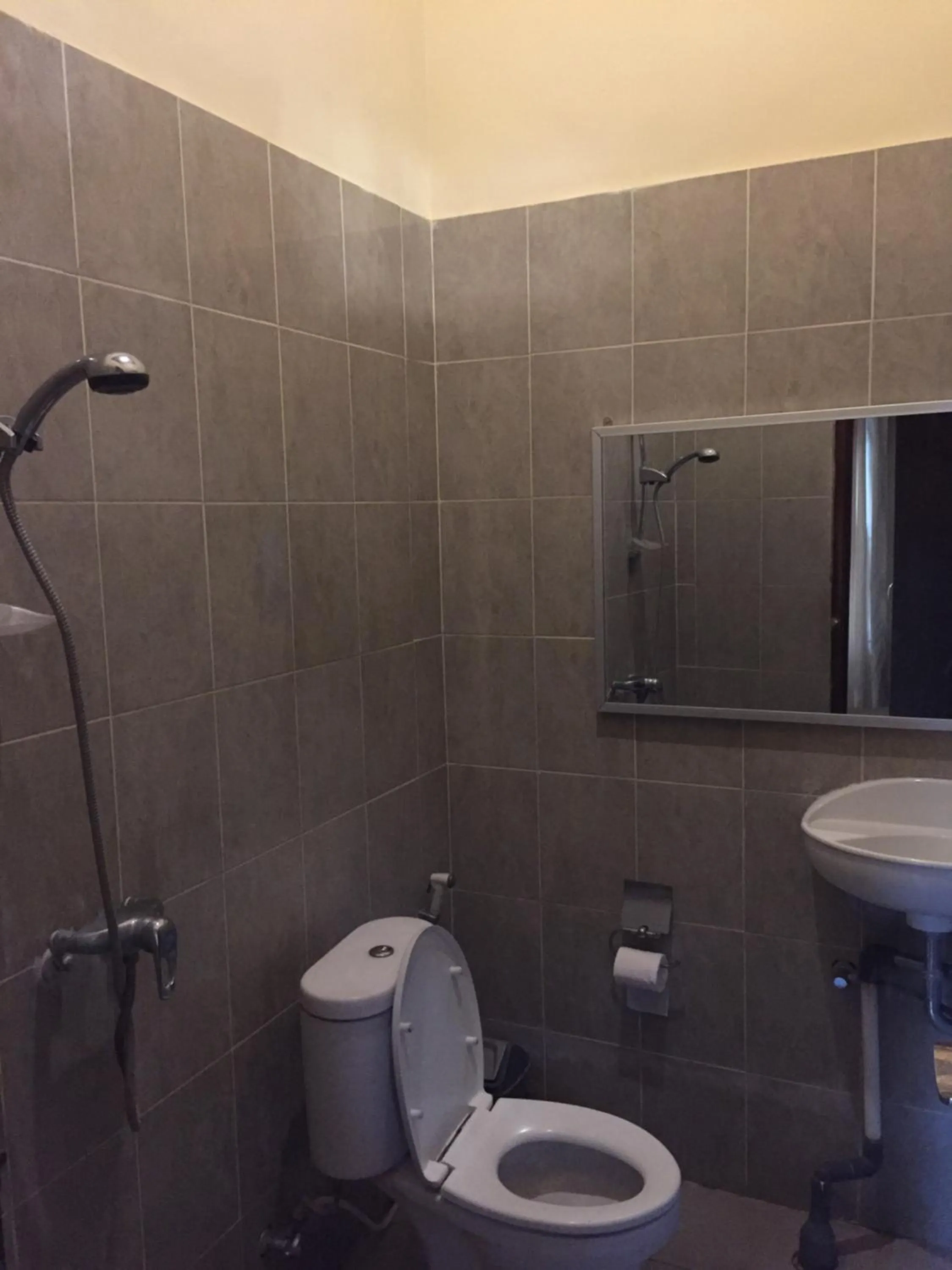 Shower in Pande Homestay