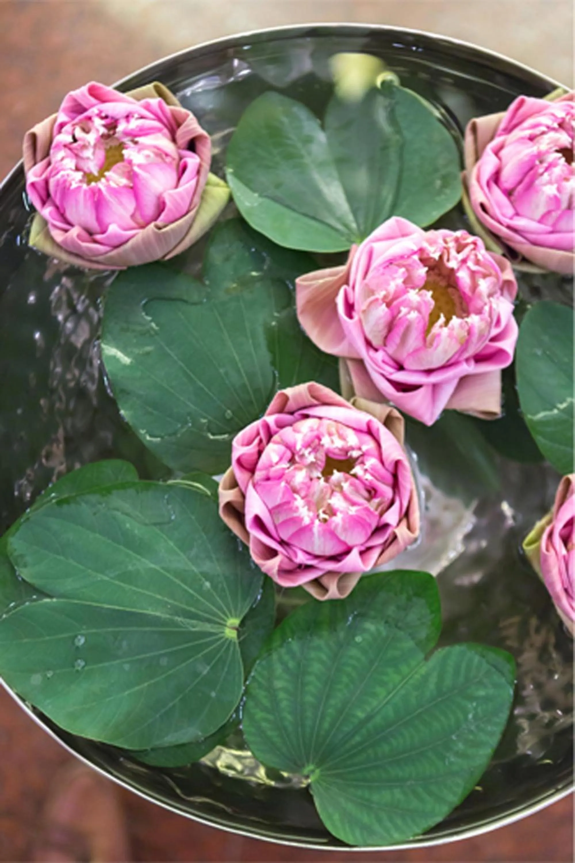 Food in Ploy Palace Hotel