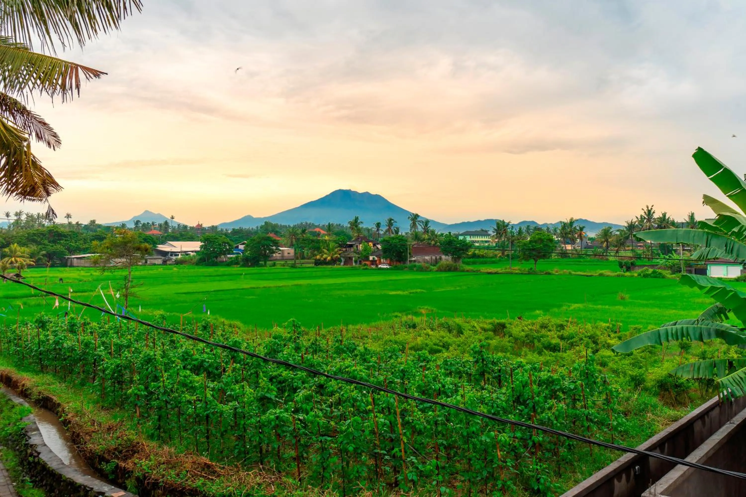 Garden view in Utamas Keramas Villa