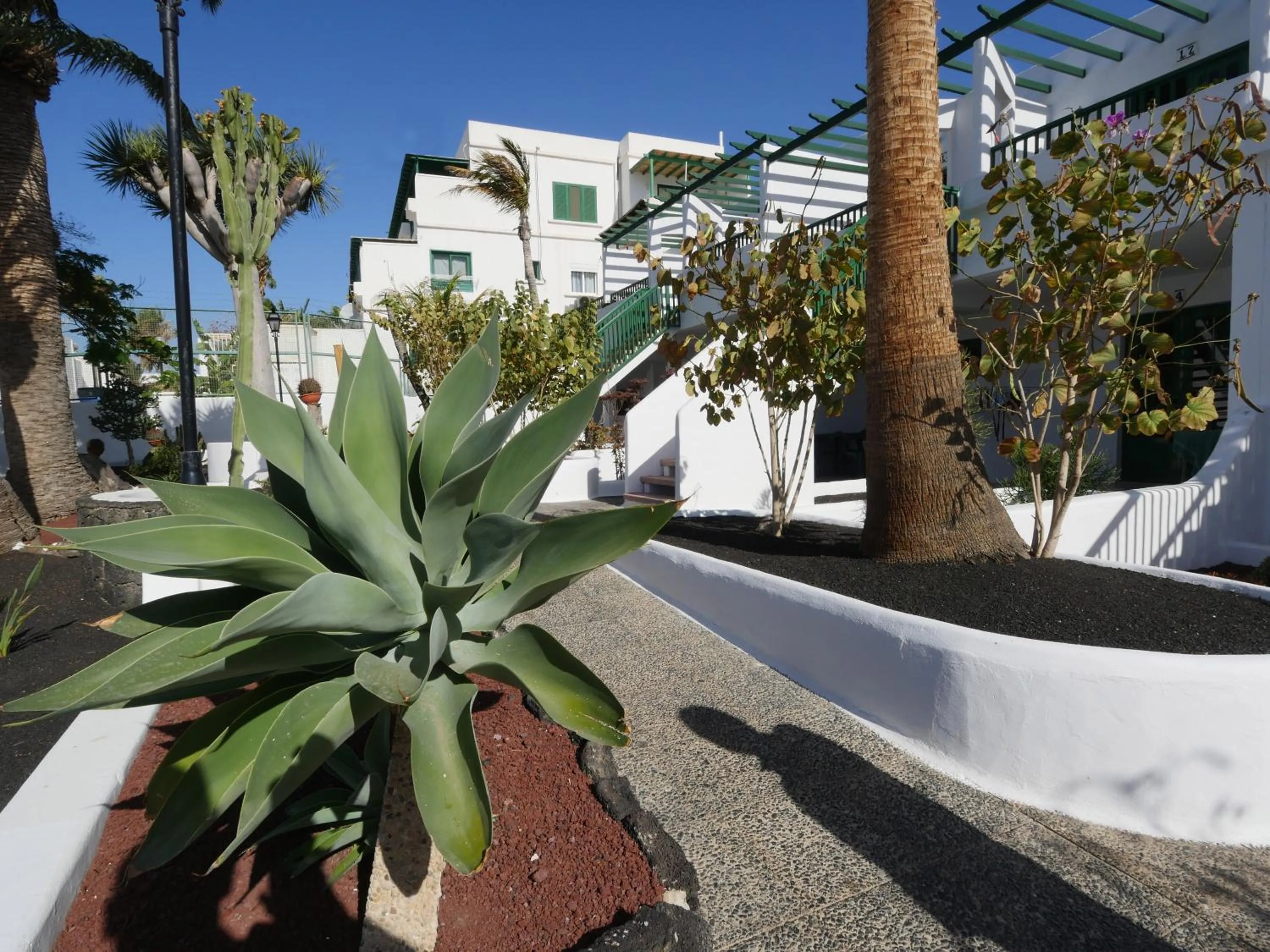 Property building in Apartamentos Tropicana