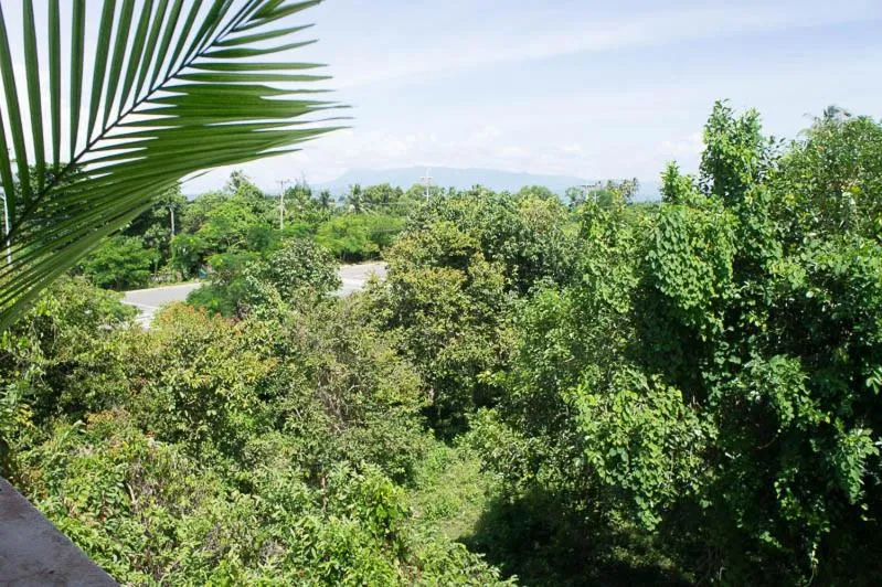 Visal Sak Guesthouse