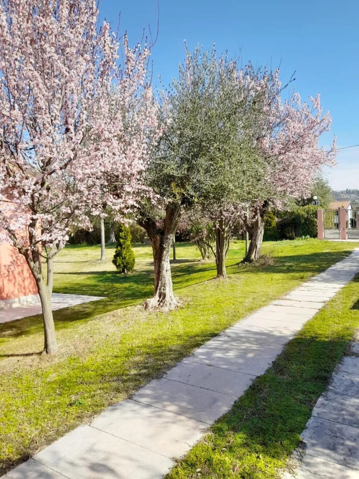 Garden in AGRITURISMO MELOGRANO D'ORO
