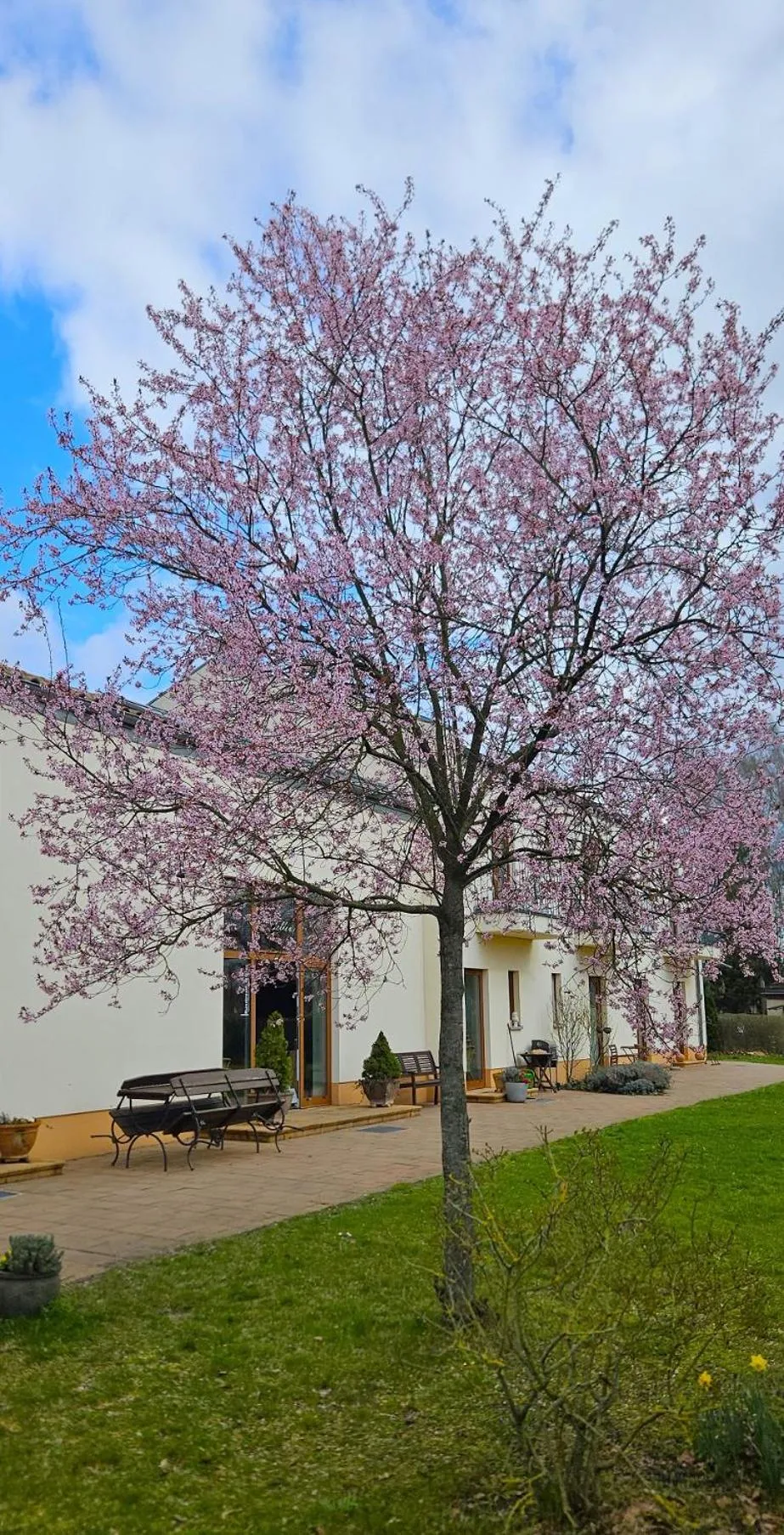 Property building in Cellino Hotel Prieros