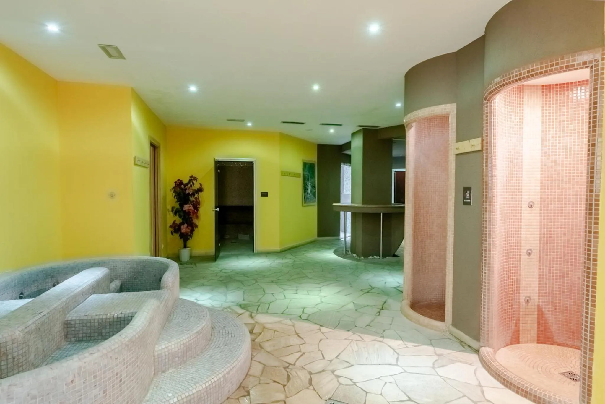 Spa and wellness centre/facilities in Hotel Alpine Mugon