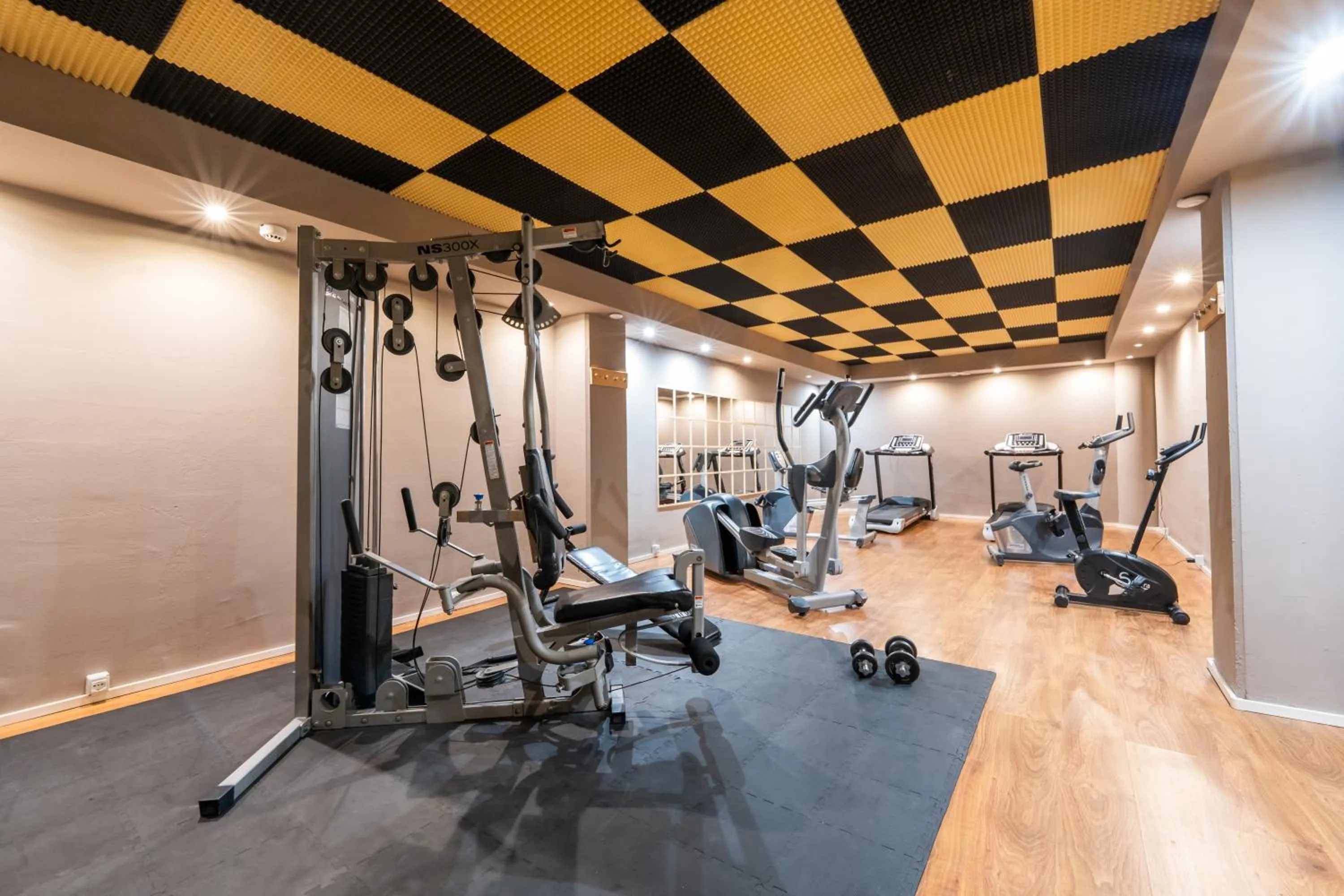 Fitness centre/facilities in Hotel Alpine Mugon