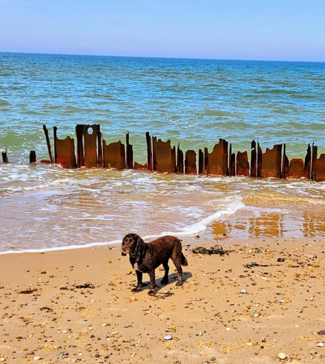 Beach in Regency Guest House