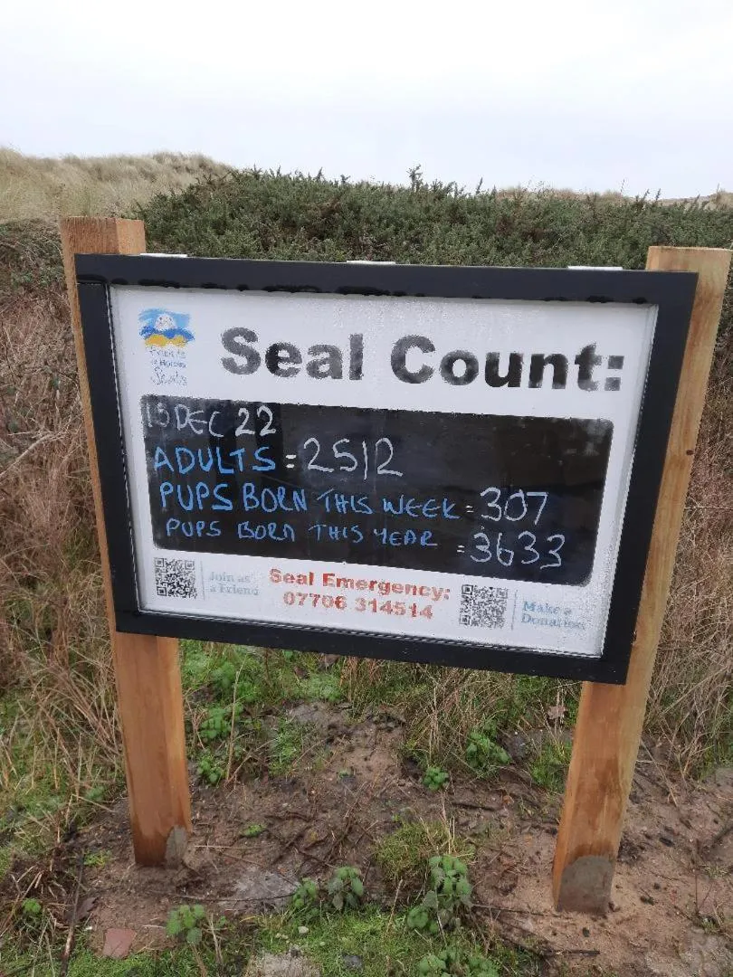 Natural landscape in Regency Guest House