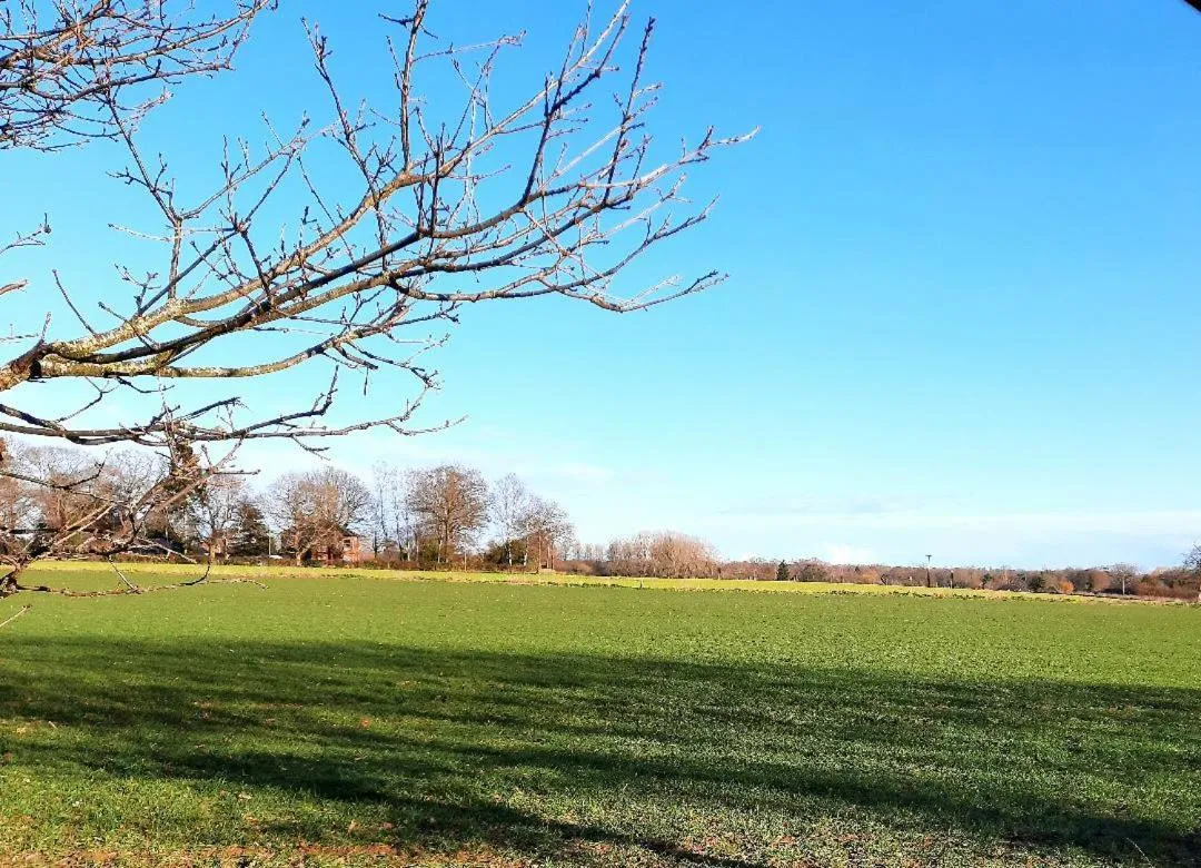 Natural landscape in Regency Guest House