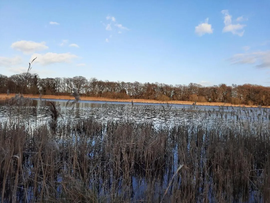 Natural landscape in Regency Guest House