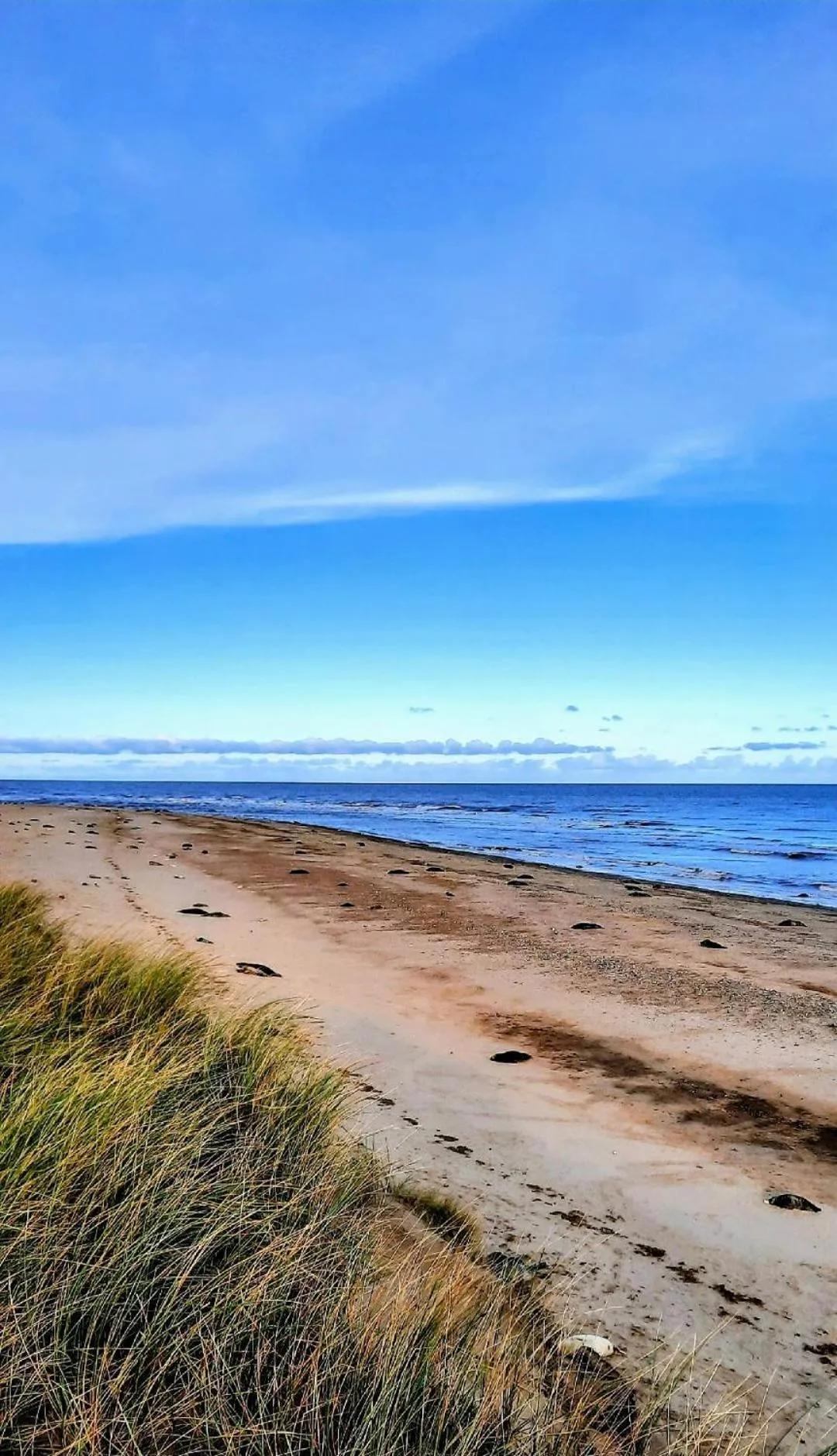 Natural landscape in Regency Guest House