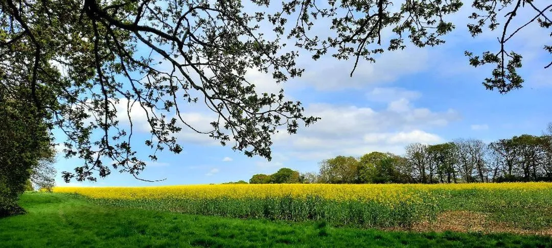 Natural landscape in Regency Guest House