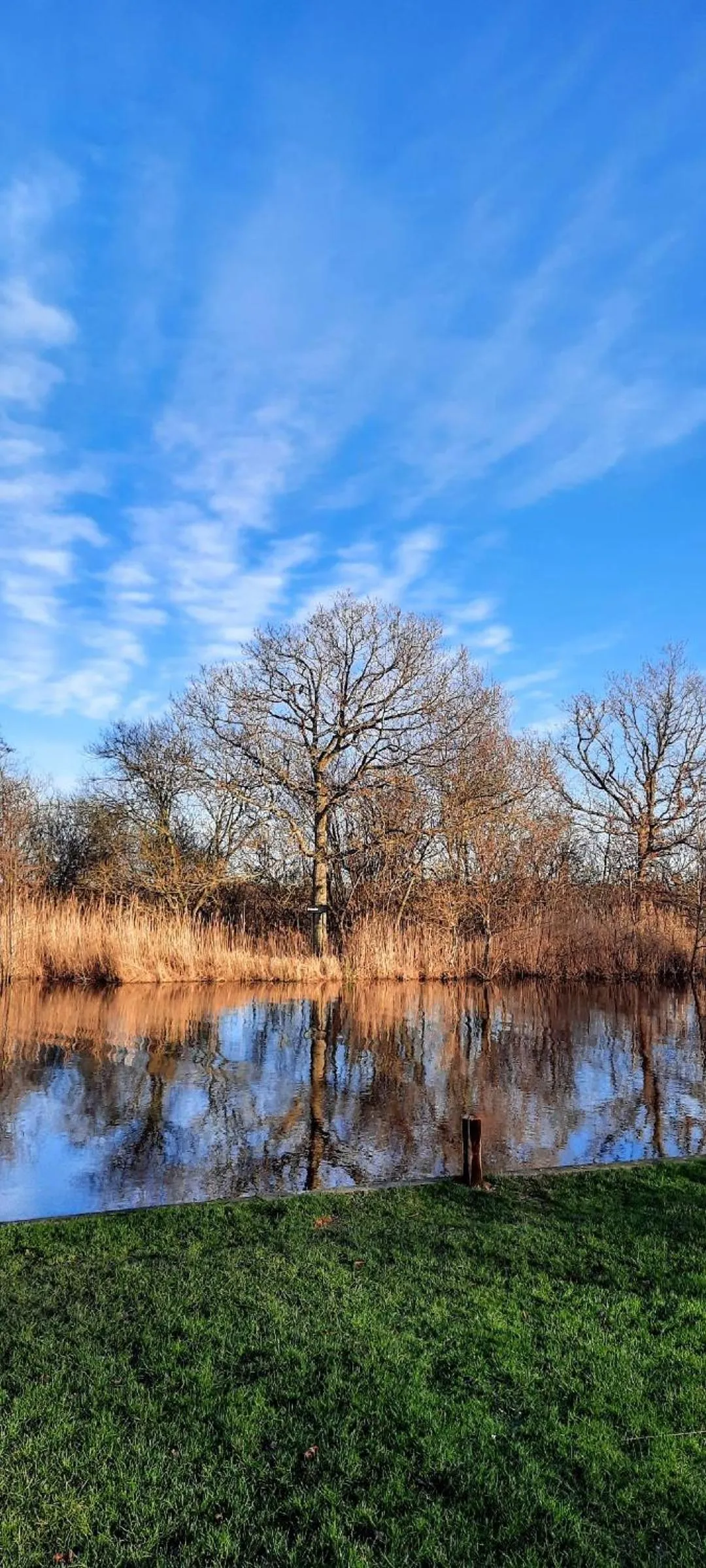 Natural landscape in Regency Guest House