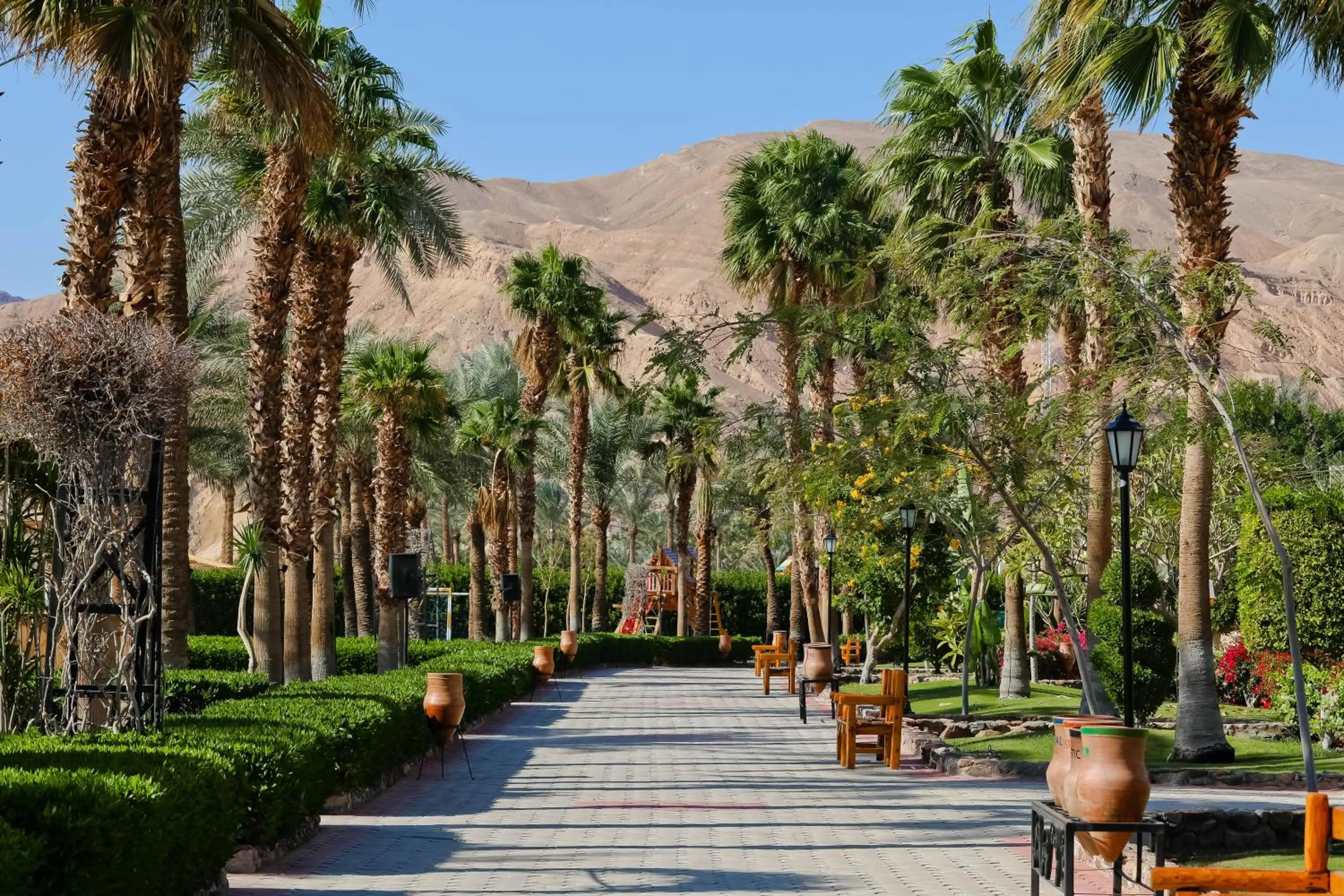 Natural landscape in Steigenberger Hotel & Nelson Village, Taba