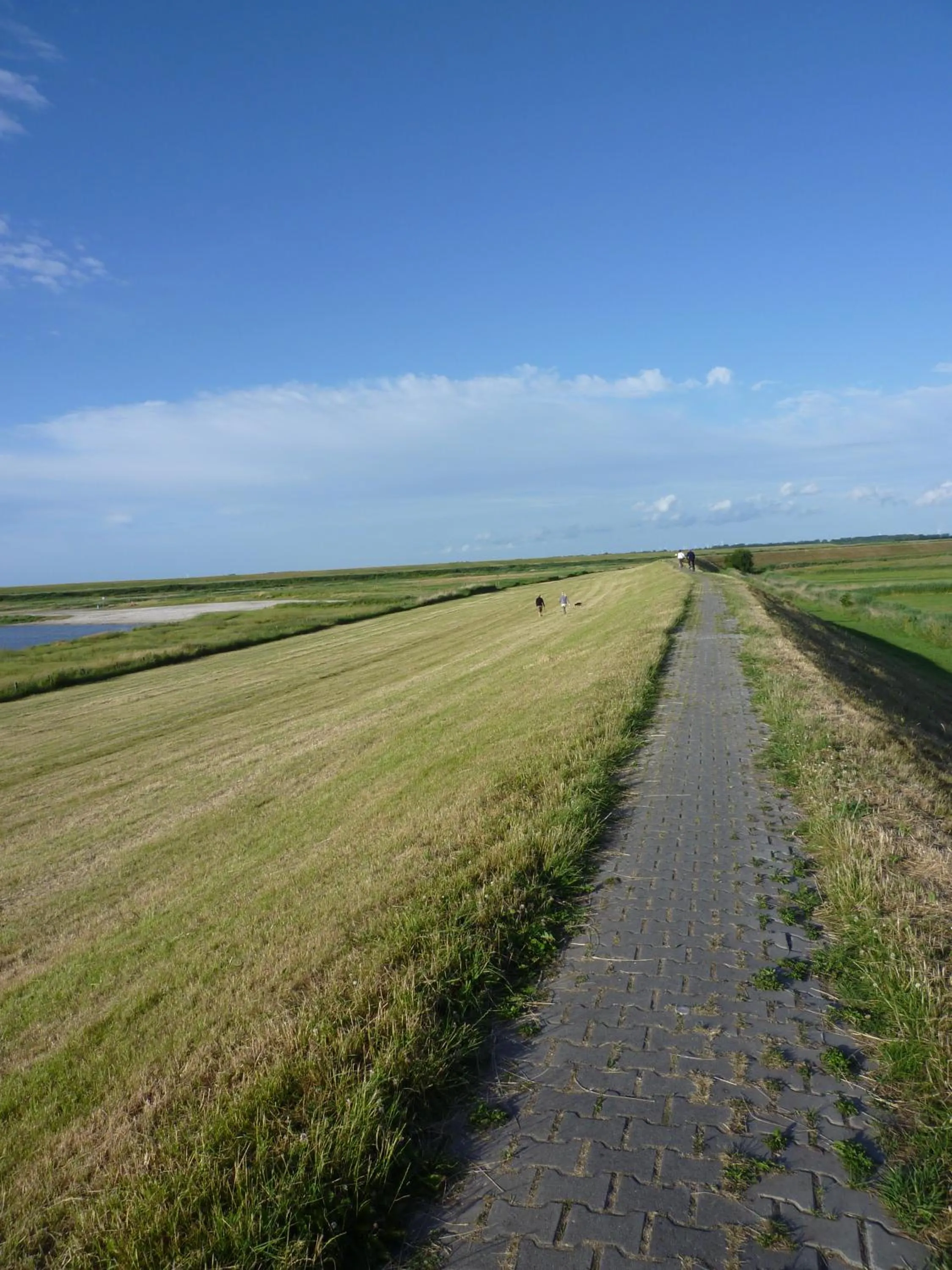Natural landscape in Hohes Haus