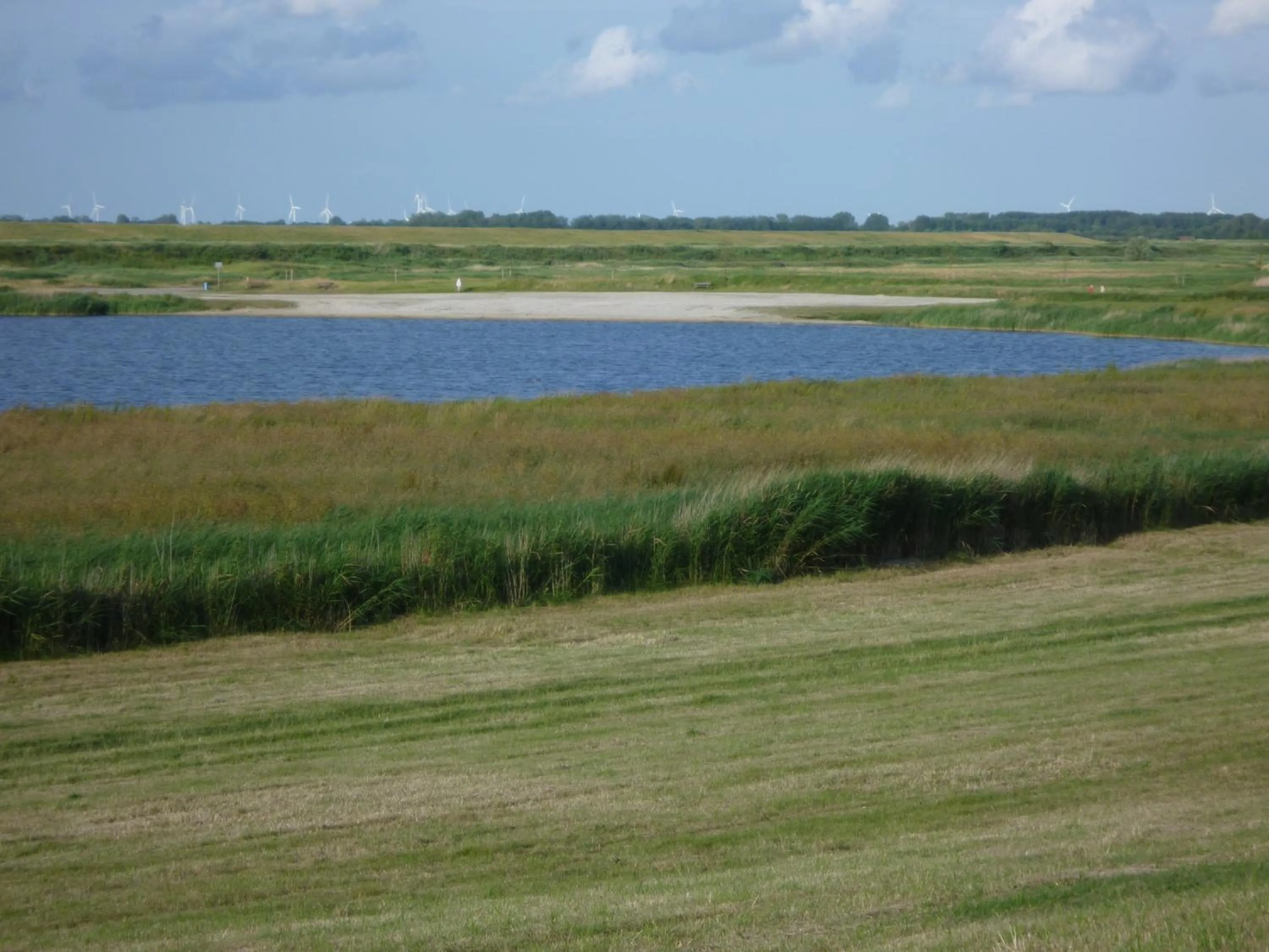 Natural landscape in Hohes Haus