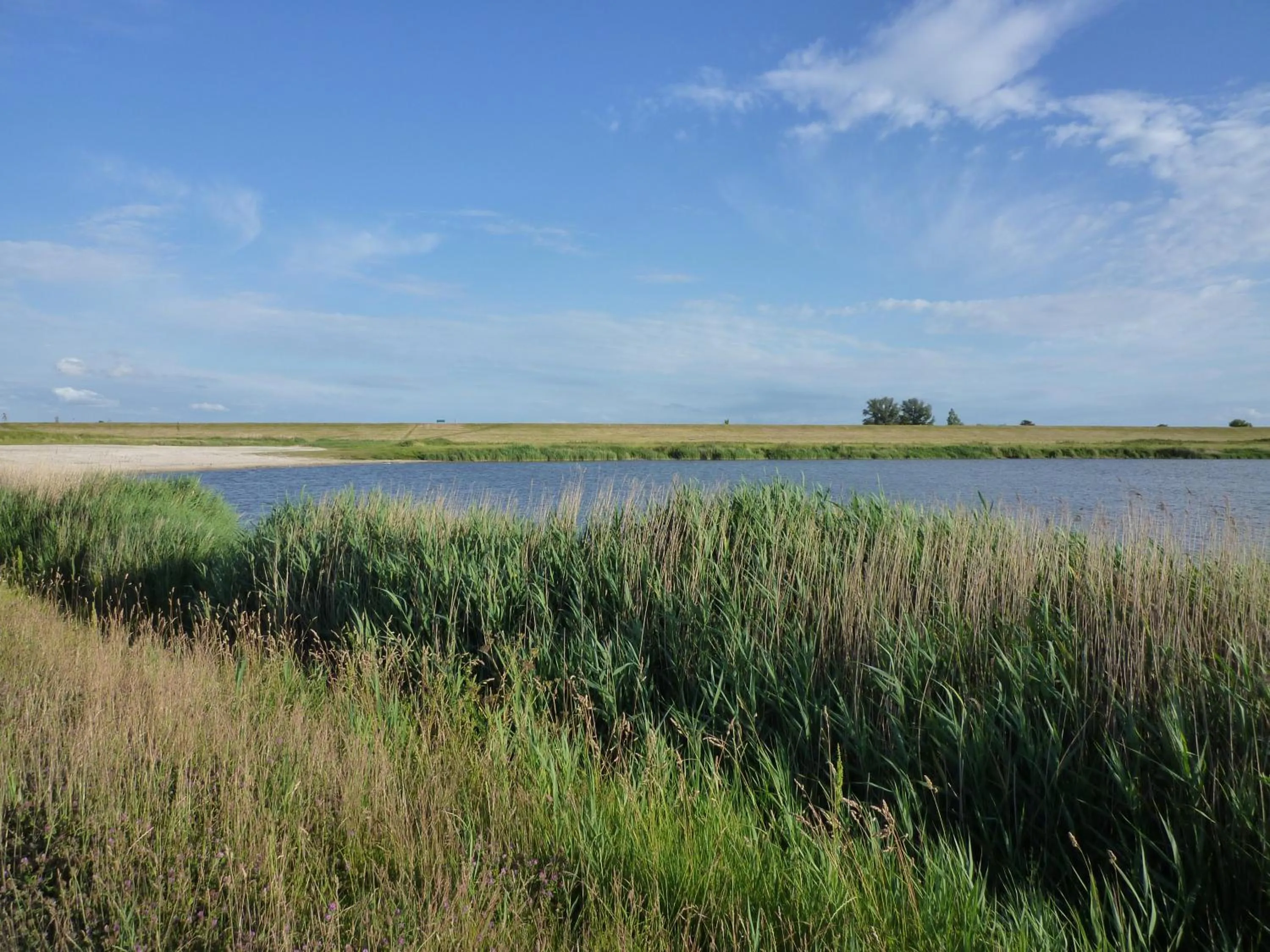 Natural landscape in Hohes Haus