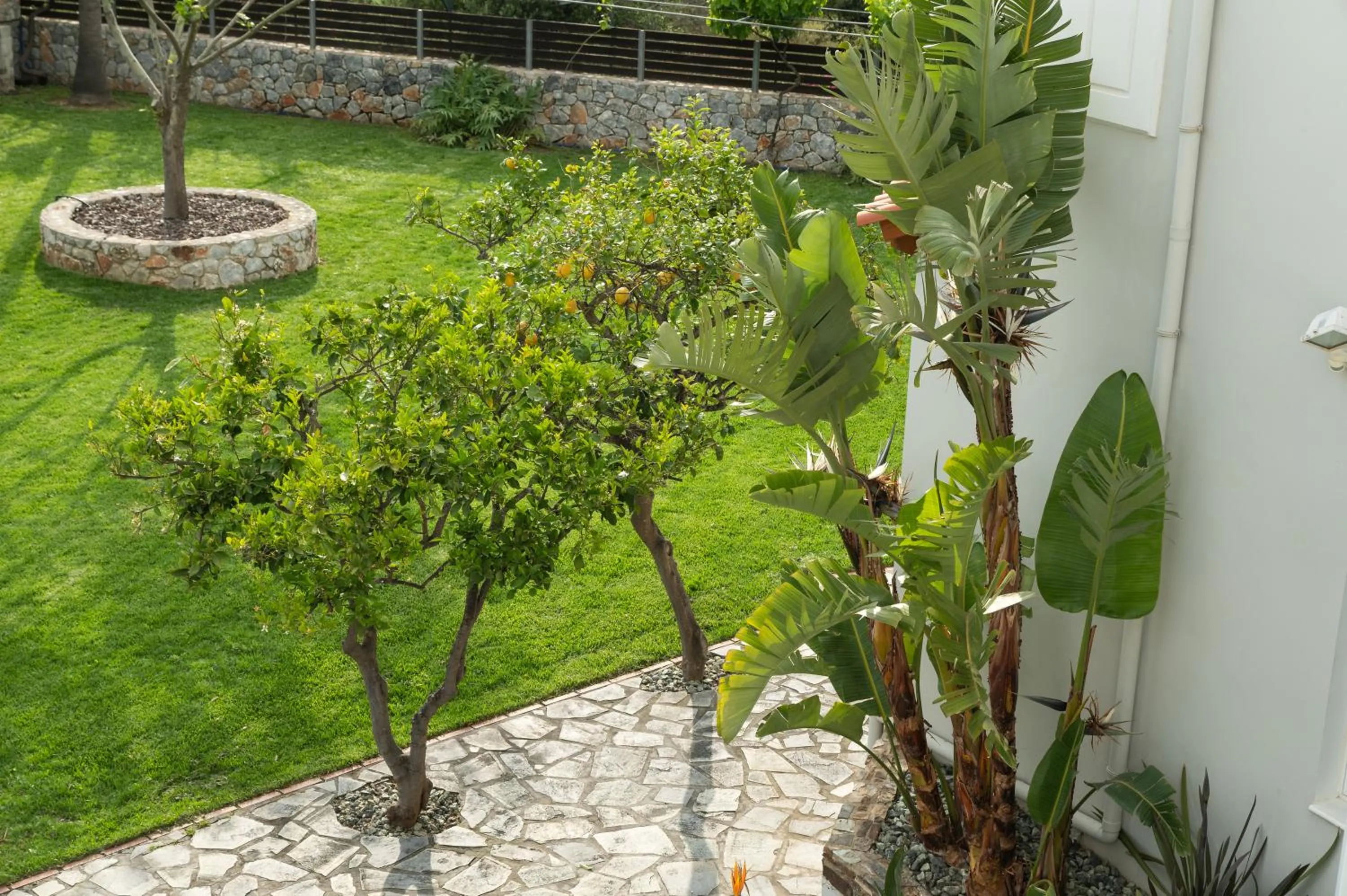 Villa Tranquilla
