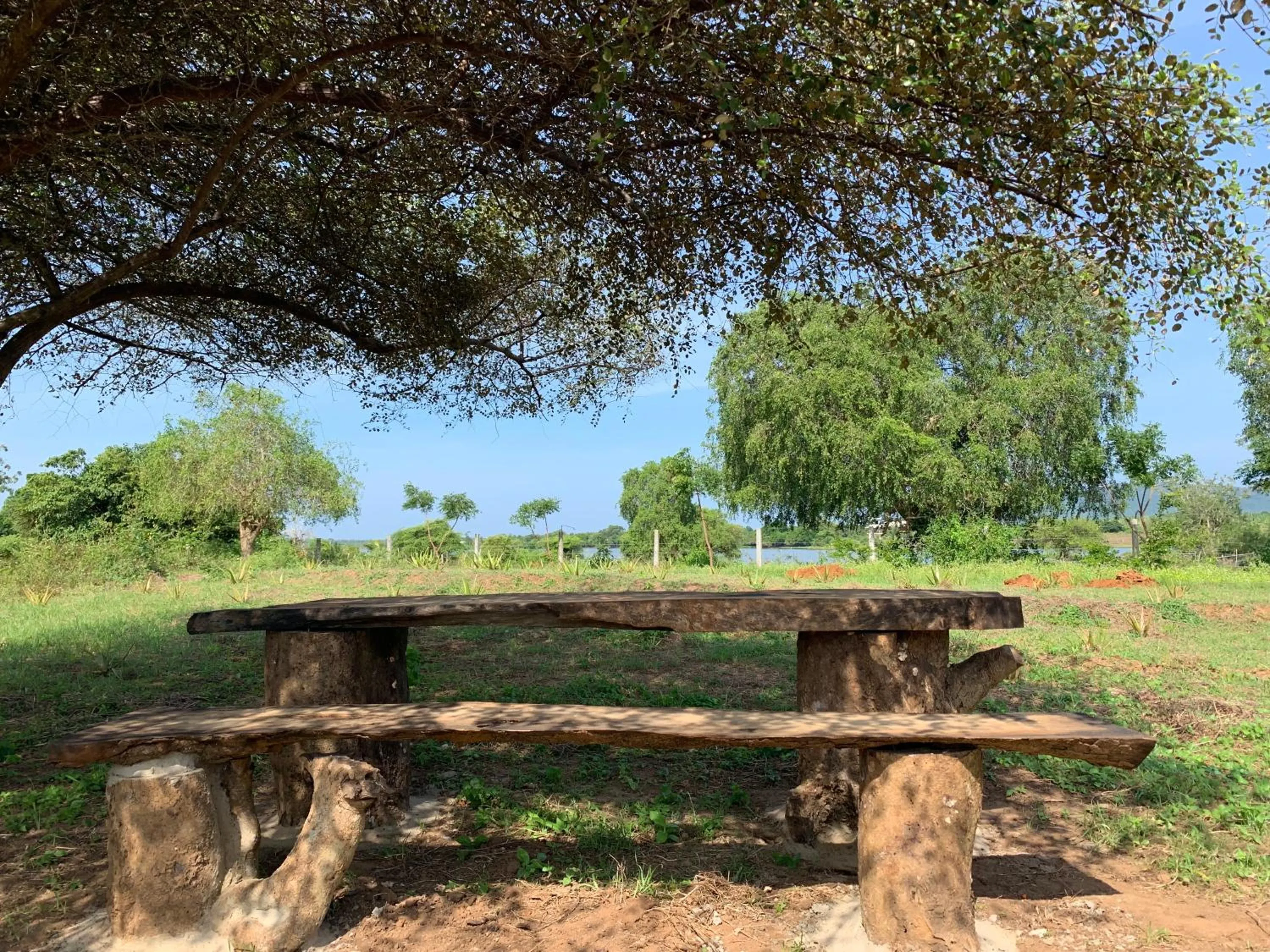 Thihawa Eco Huts Yala