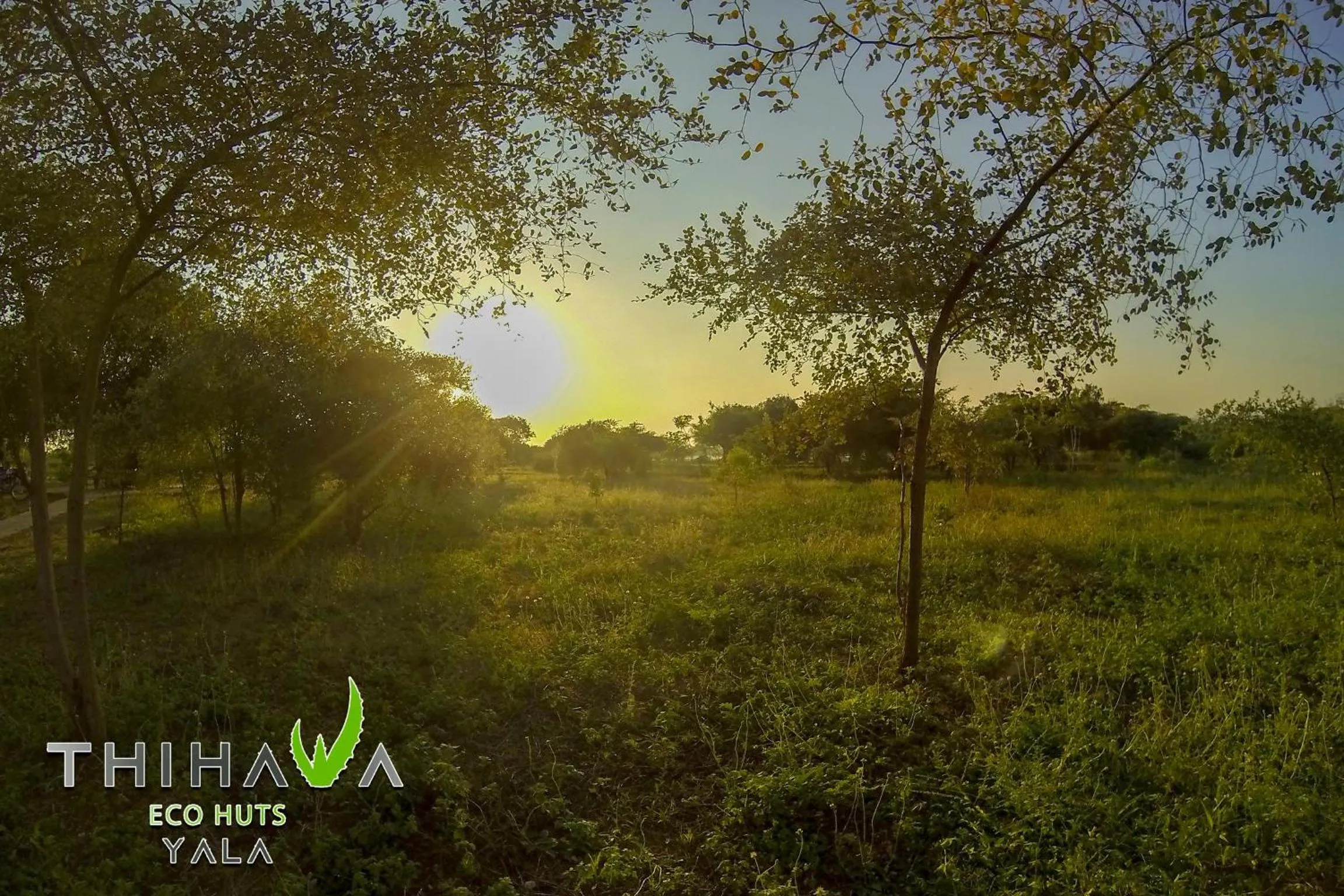 Thihawa Eco Huts Yala