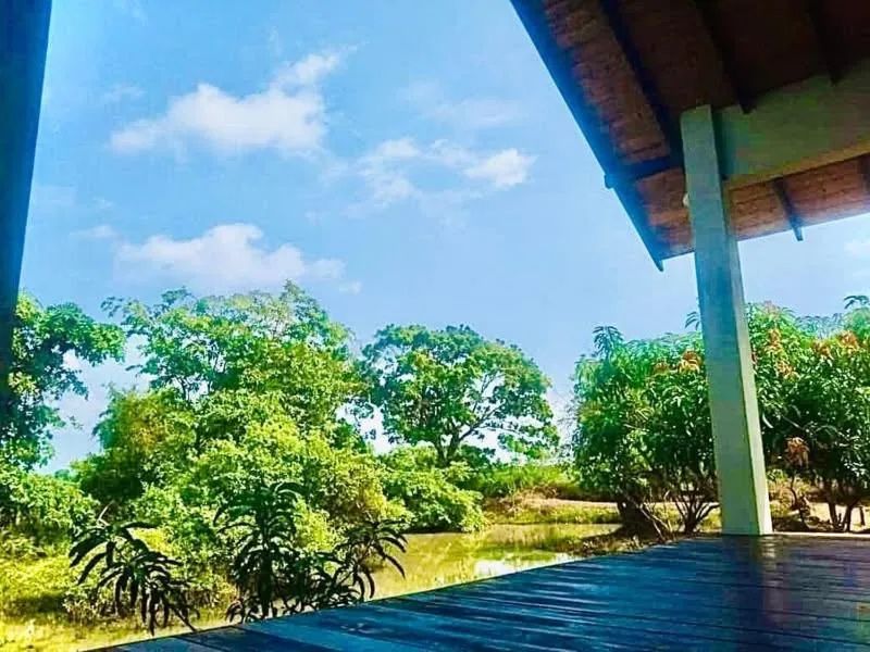 Natural landscape in Thihawa Eco Huts Yala