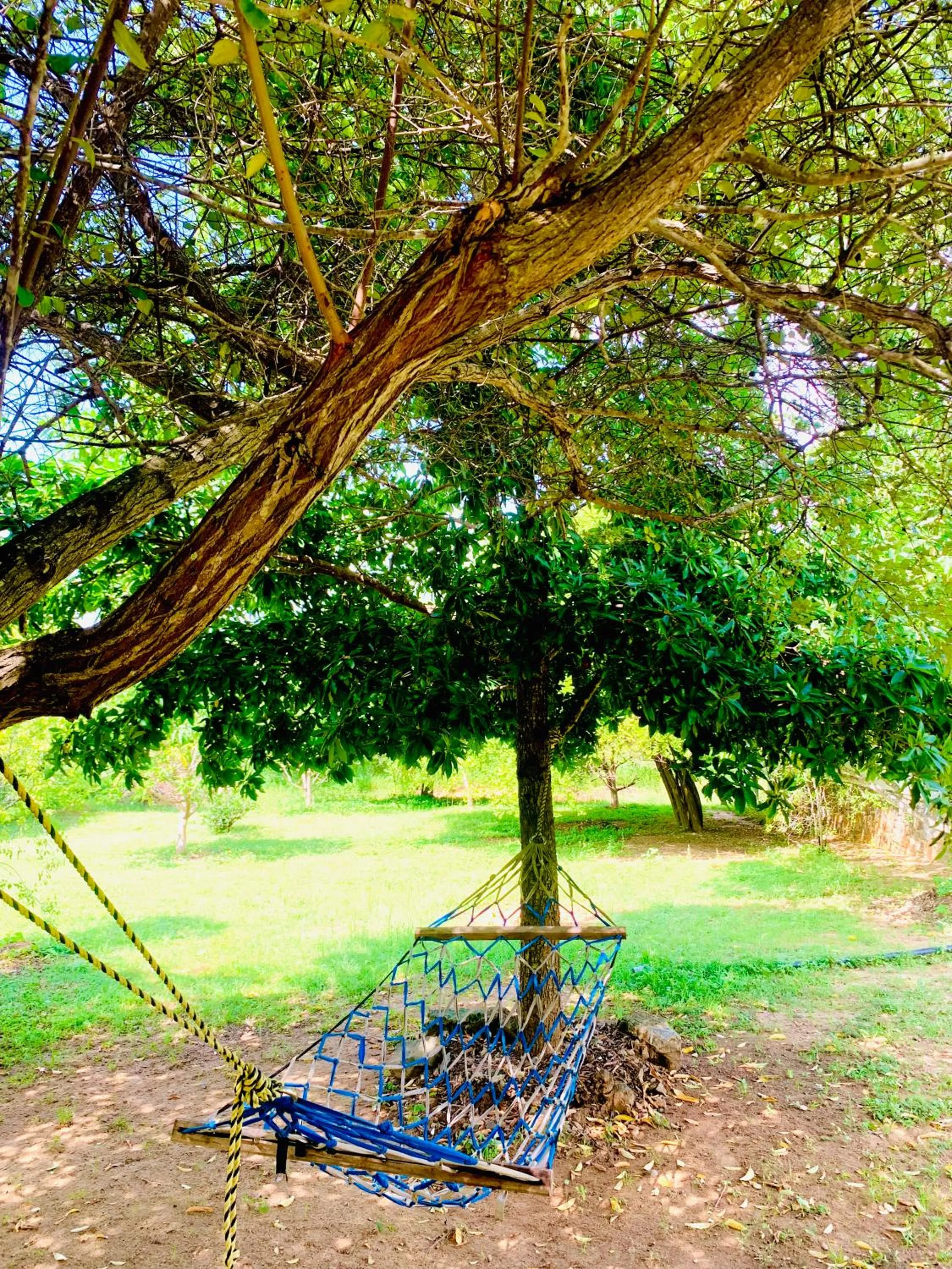 Thihawa Eco Huts Yala