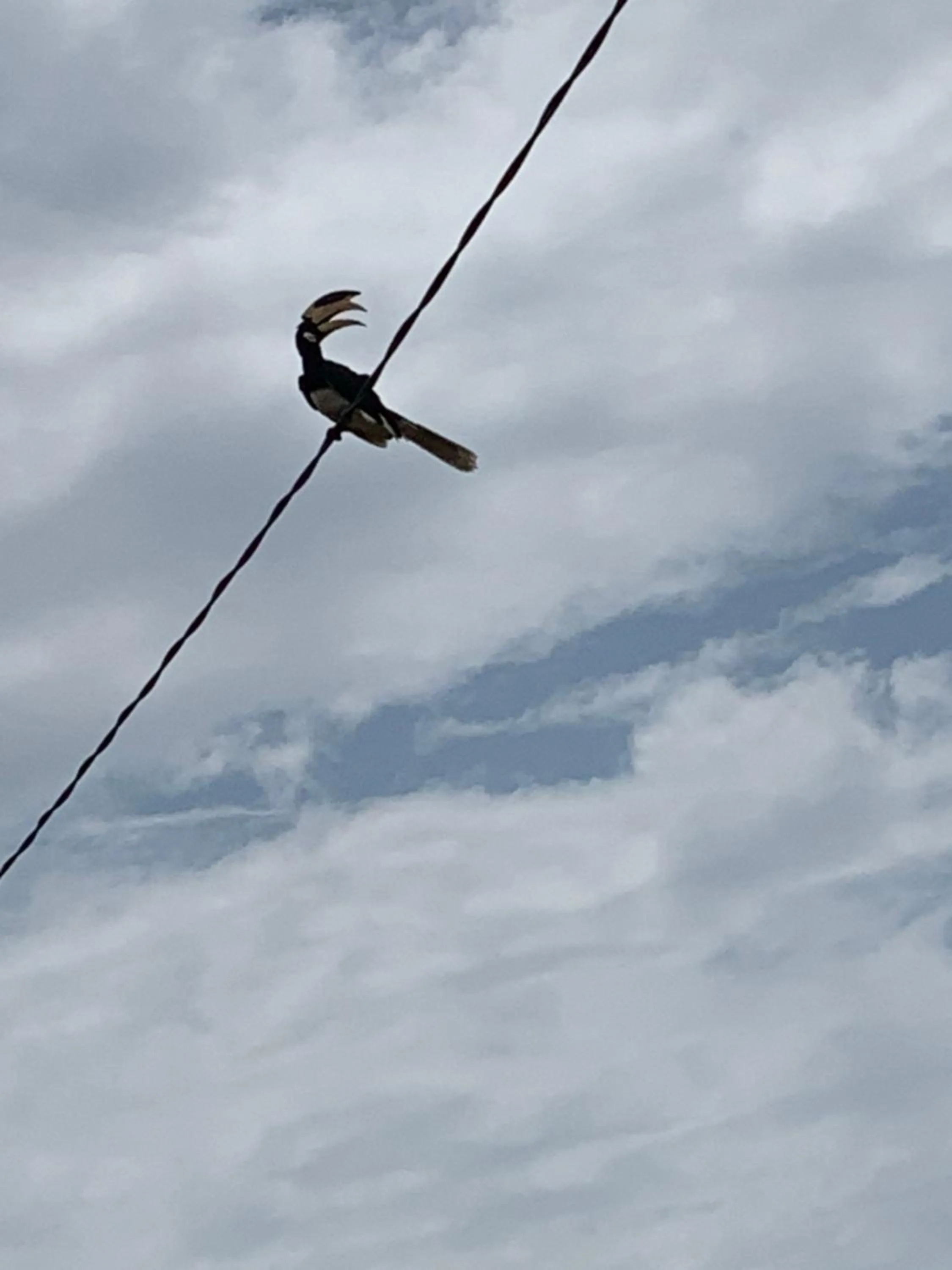 Thihawa Eco Huts Yala