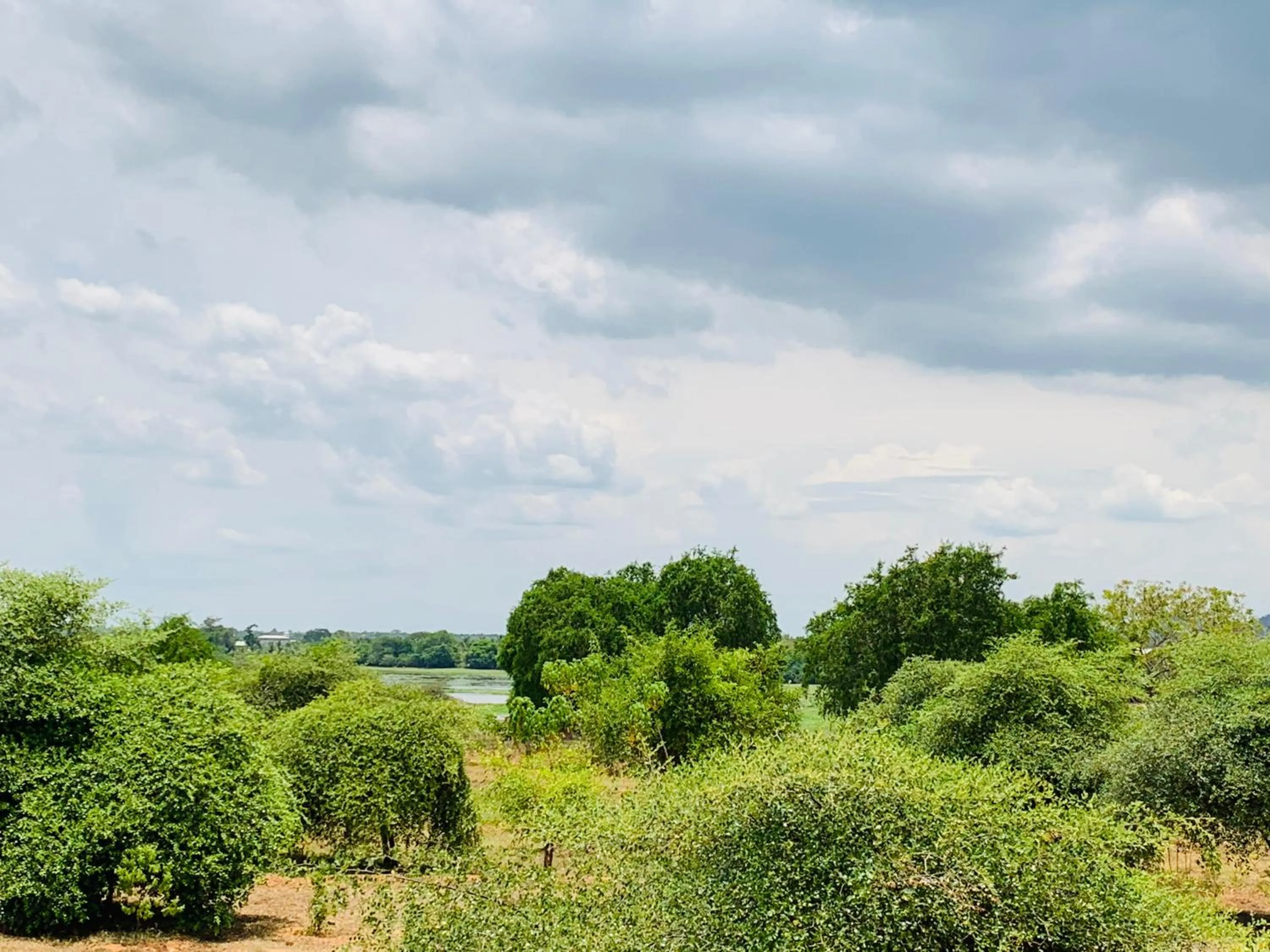 Thihawa Eco Huts Yala