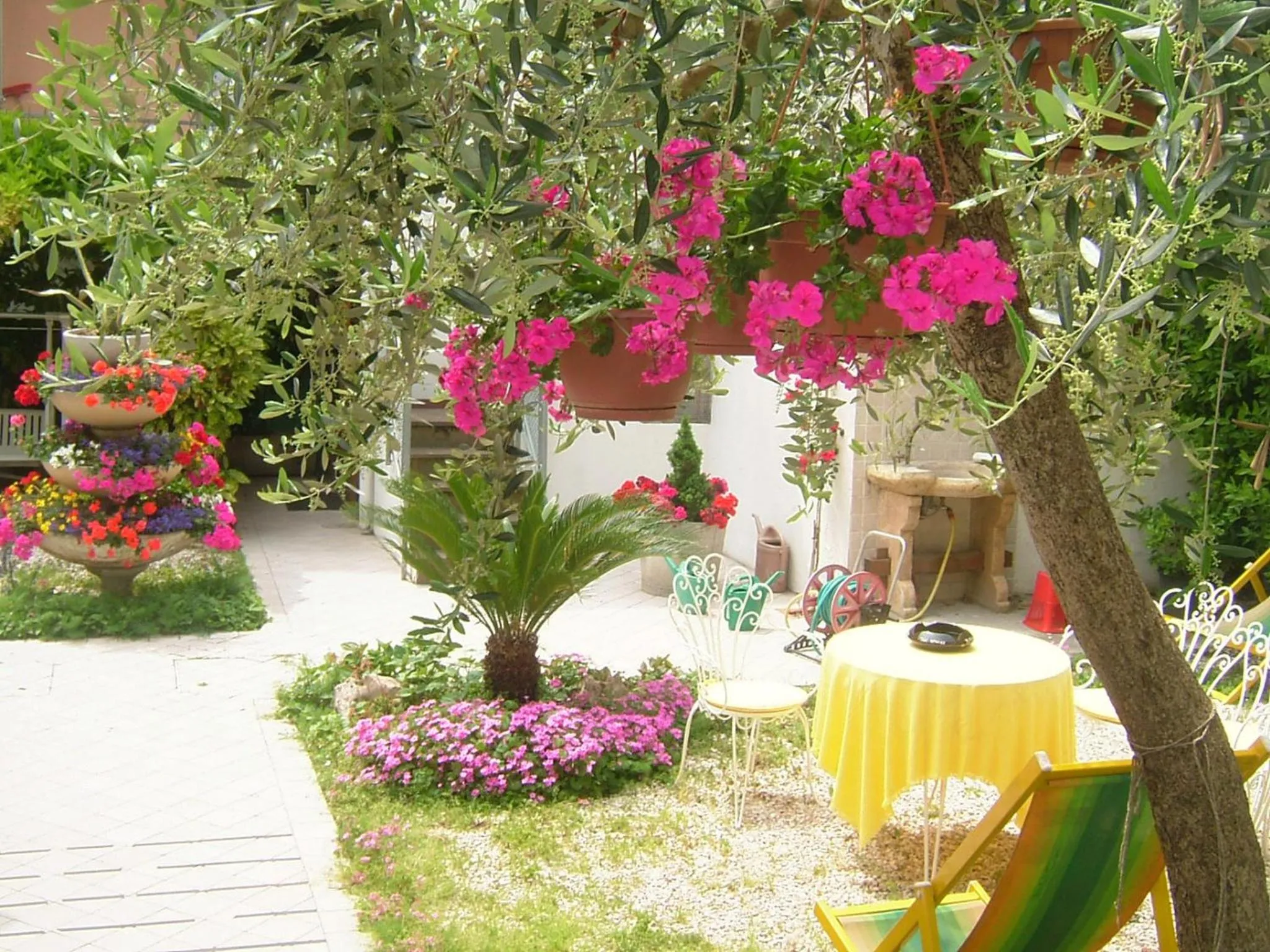 Garden in NOIDUE Hotel