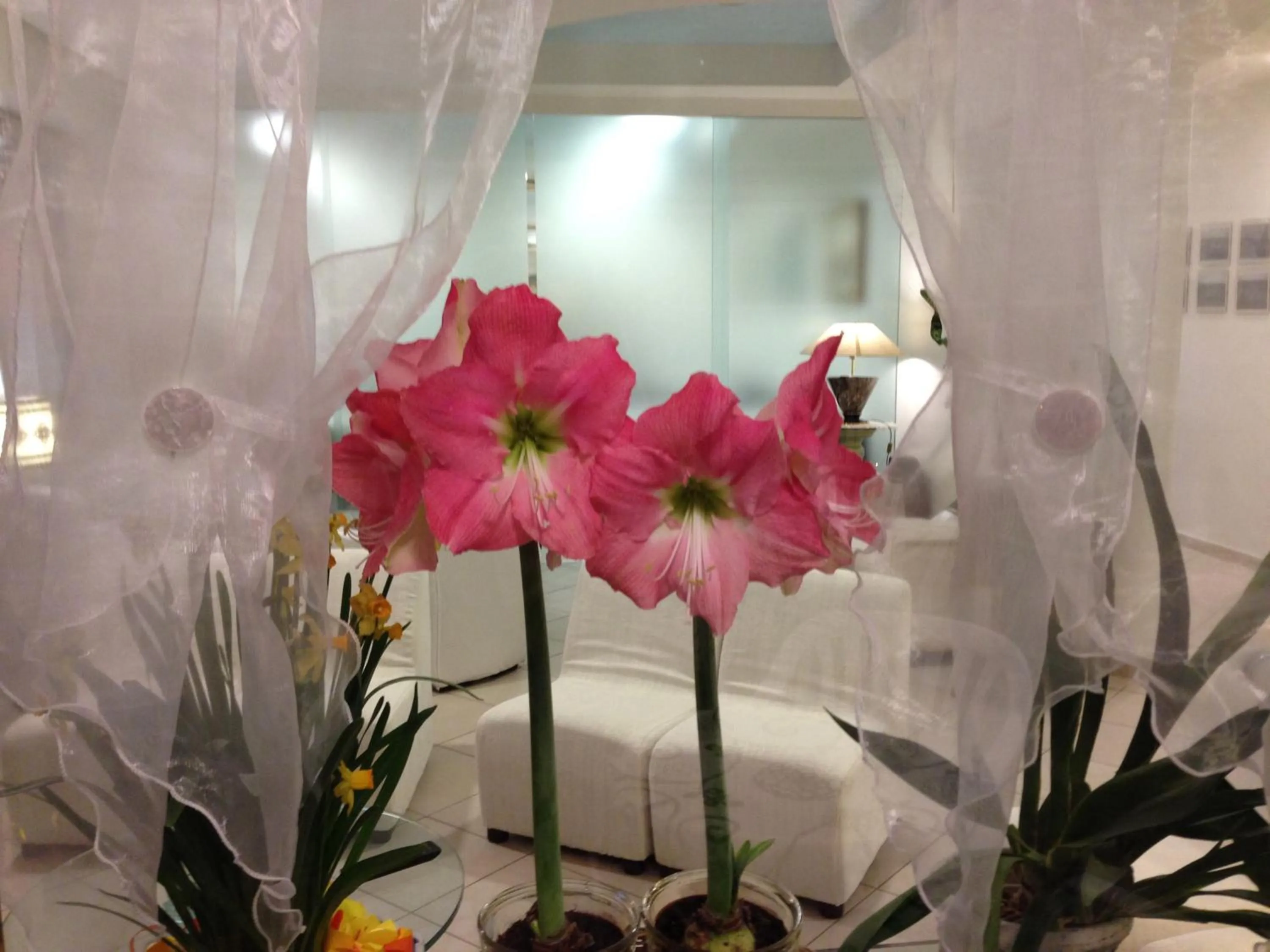 Decorative detail in NOIDUE Hotel