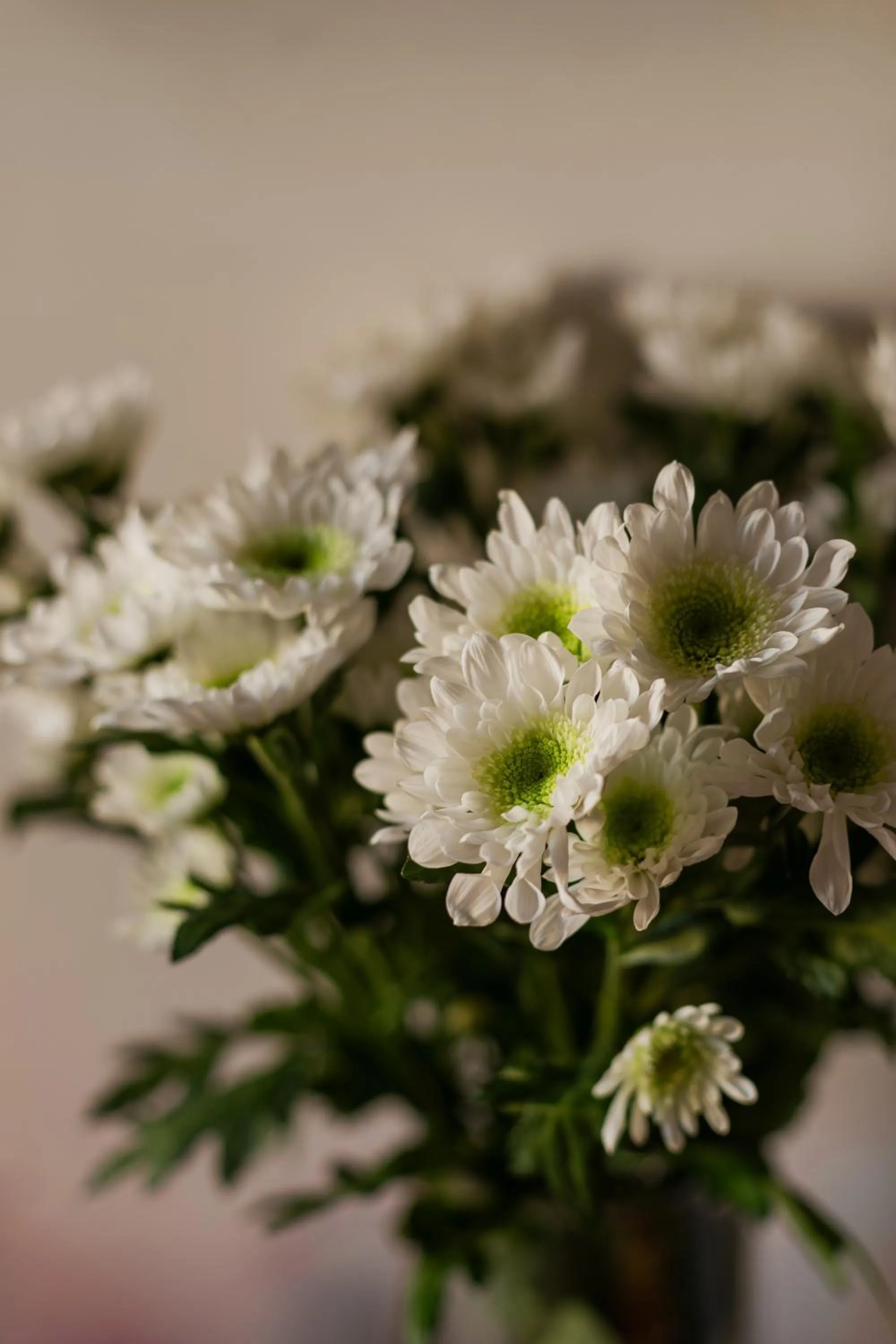 Decorative detail in Bianca Cappello House