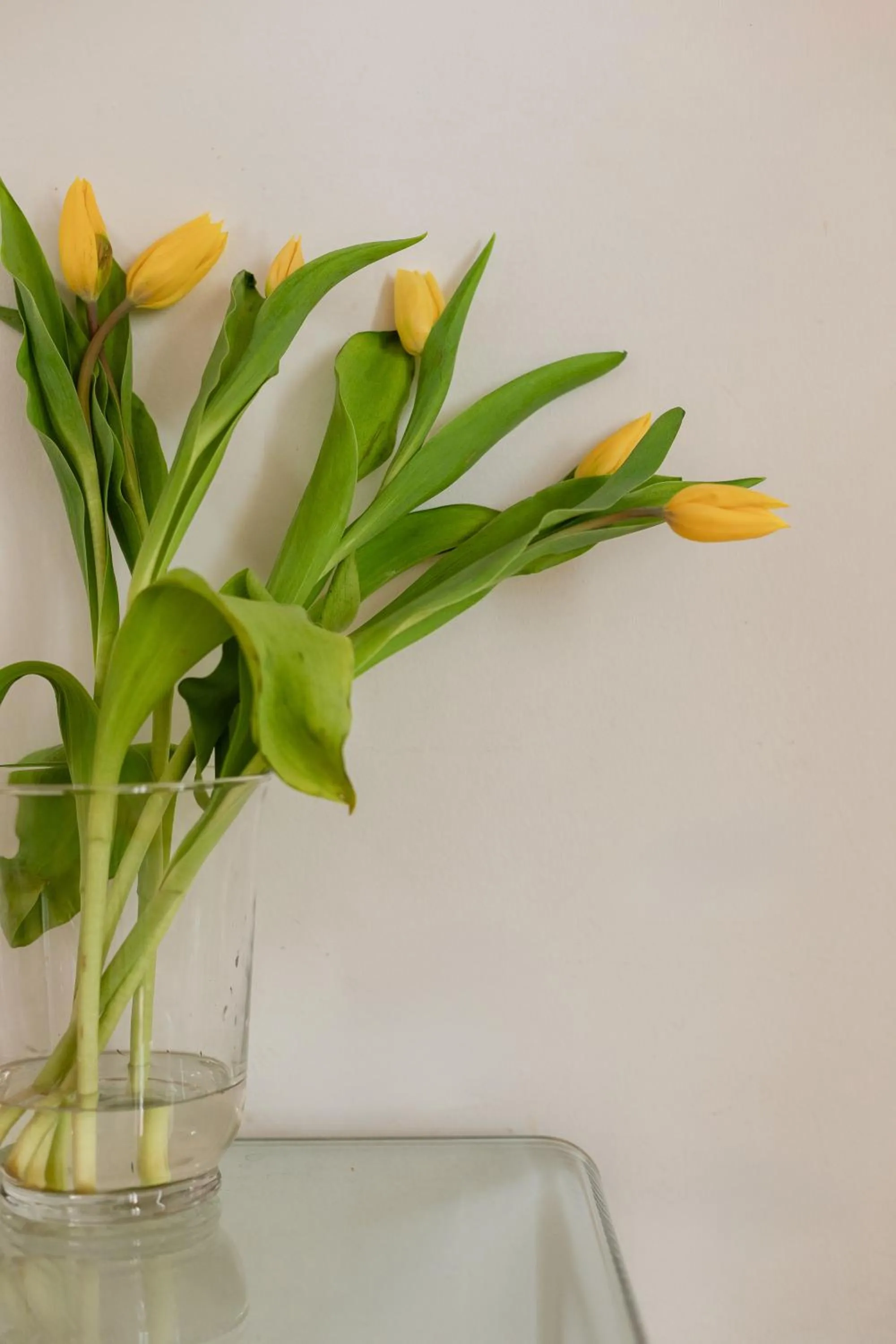 Decorative detail in Bianca Cappello House