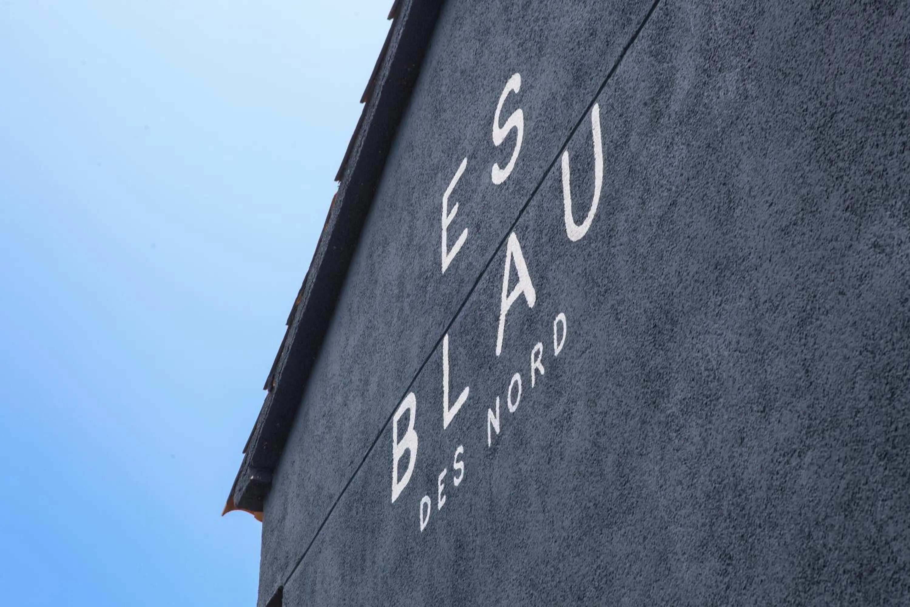 Facade/entrance in Hotel Es Blau Des Nord