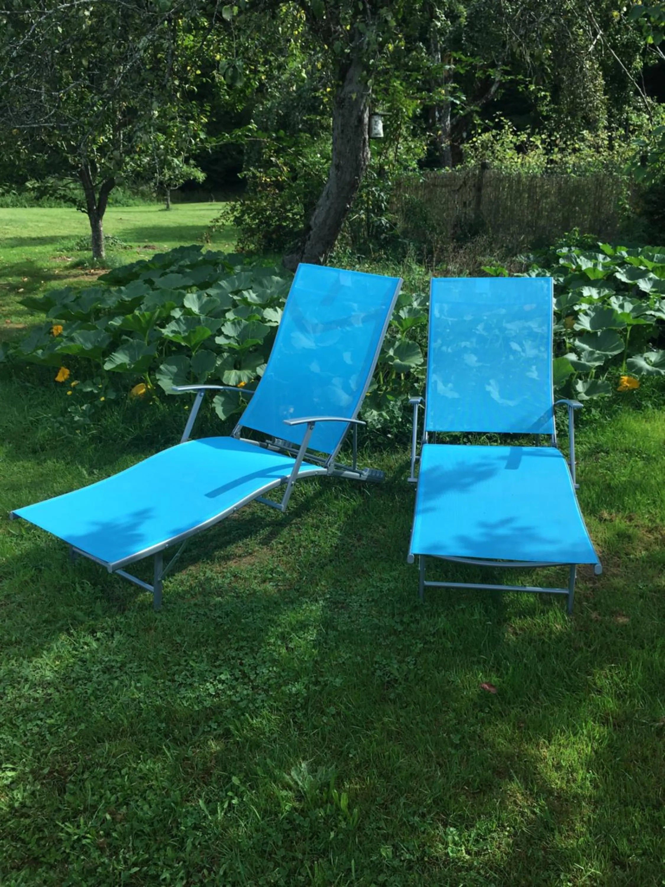 sunbed in La Mésange bleue