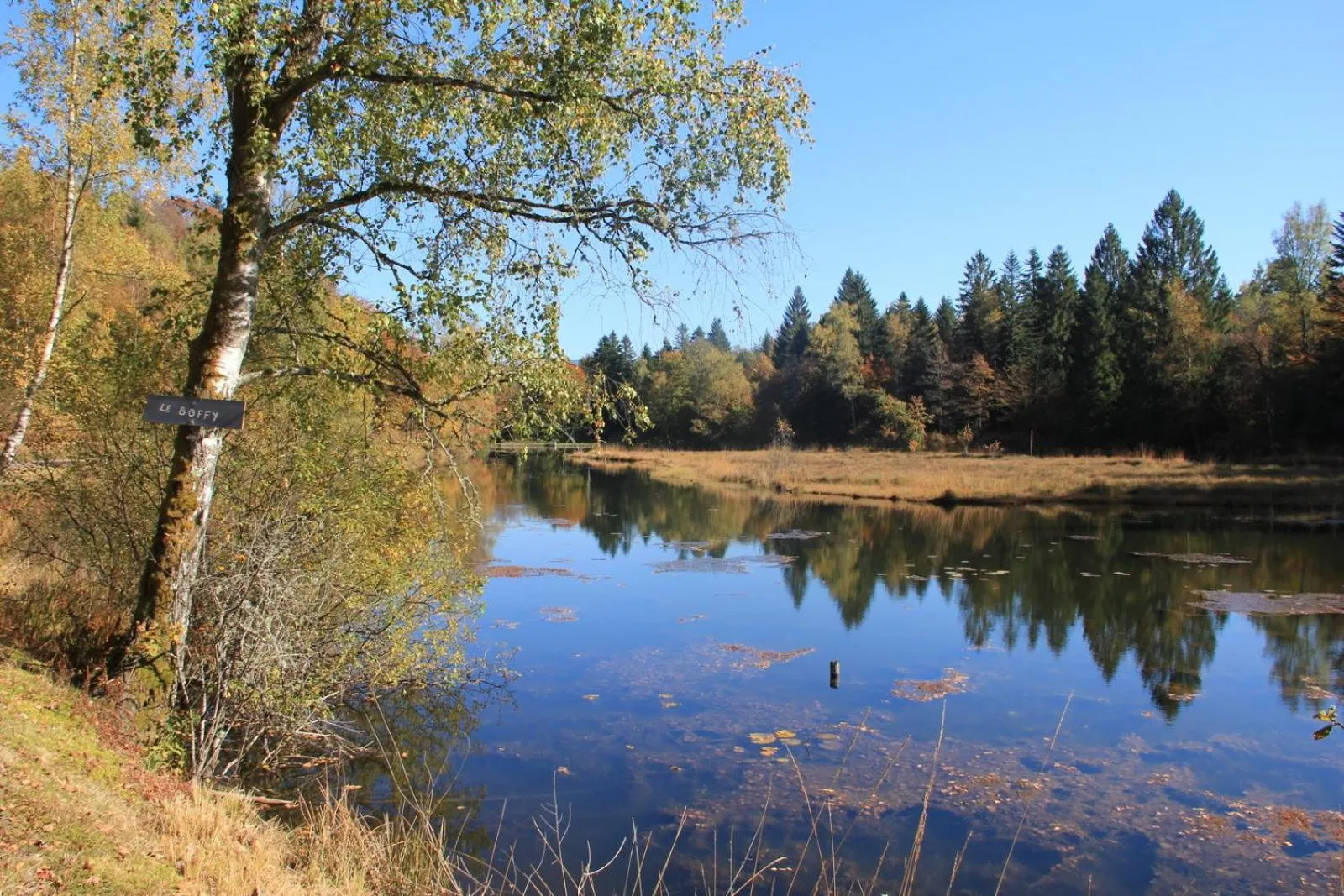 Other in La Mésange bleue
