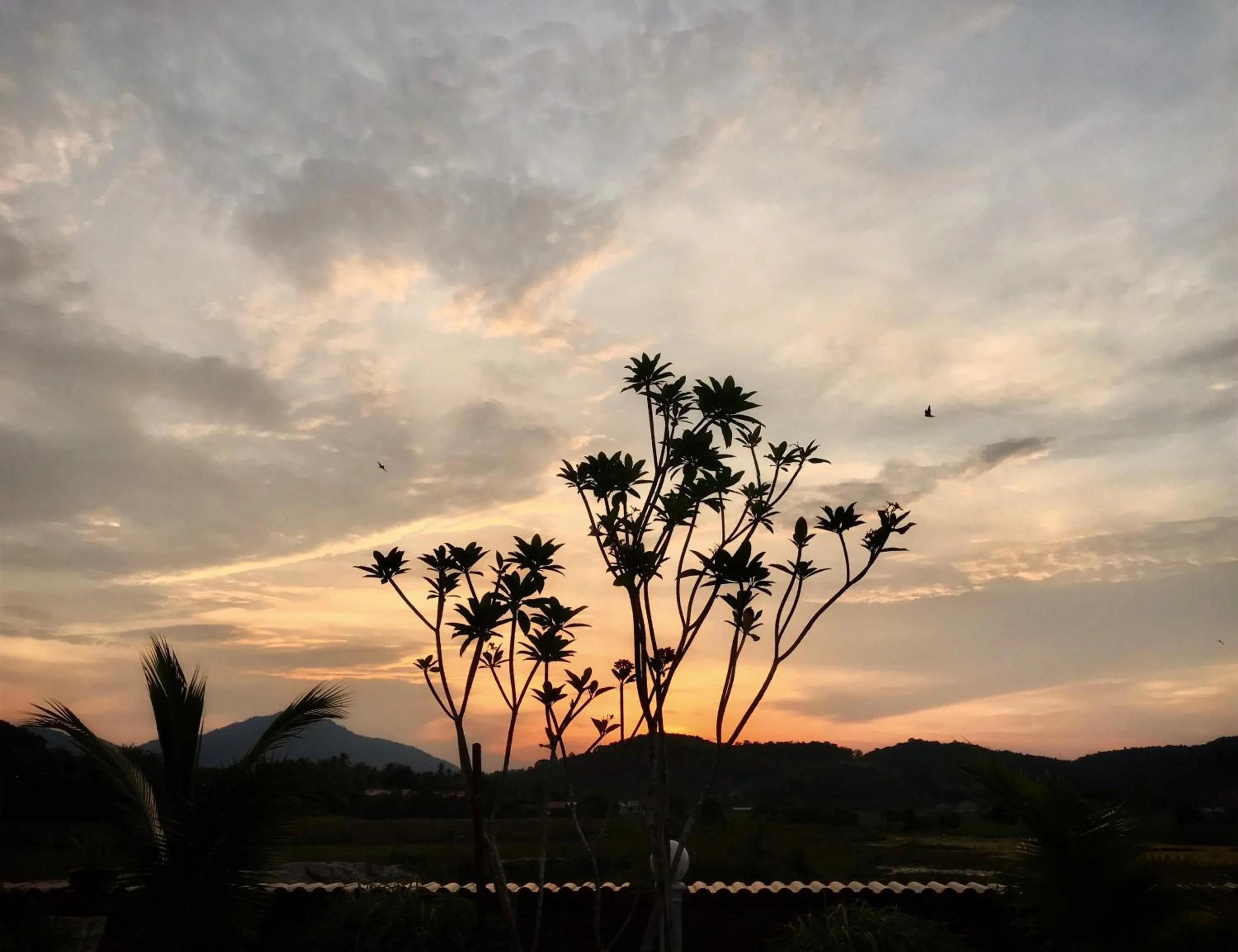 Sunrise in Adagaya Villa - Villa With Private Pool, Without Pool