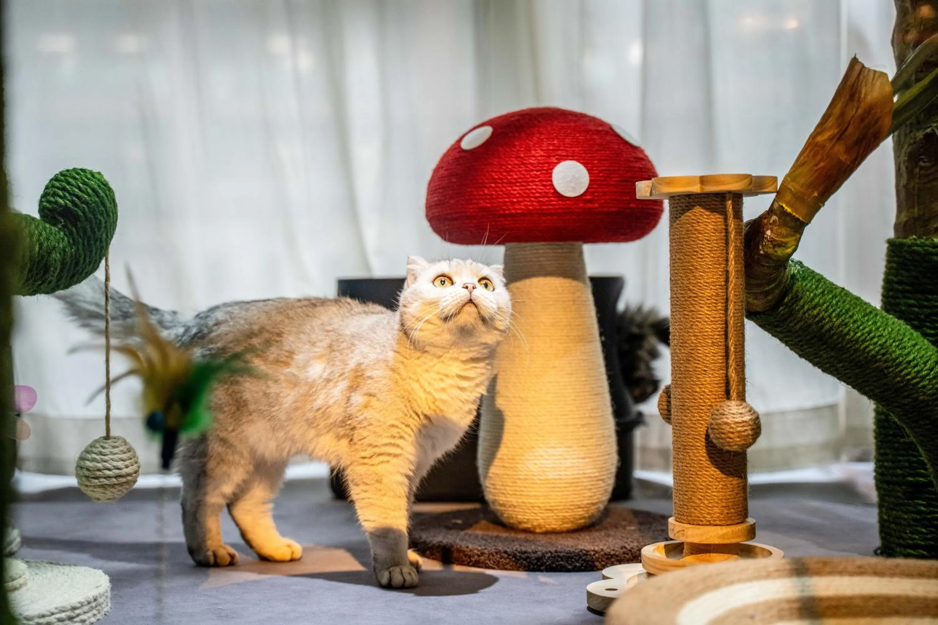 Kids's club in HeSu Hidden Art Hotel & Suites -Near Xi'an Drum Tower and Yongning Gate -Free Laundry Luggage Storage -Kitty Café with Freshly Ground Coffee -24H Front Desk -English Service -Exclusive Subsidies for Dumpling Banquet & Show