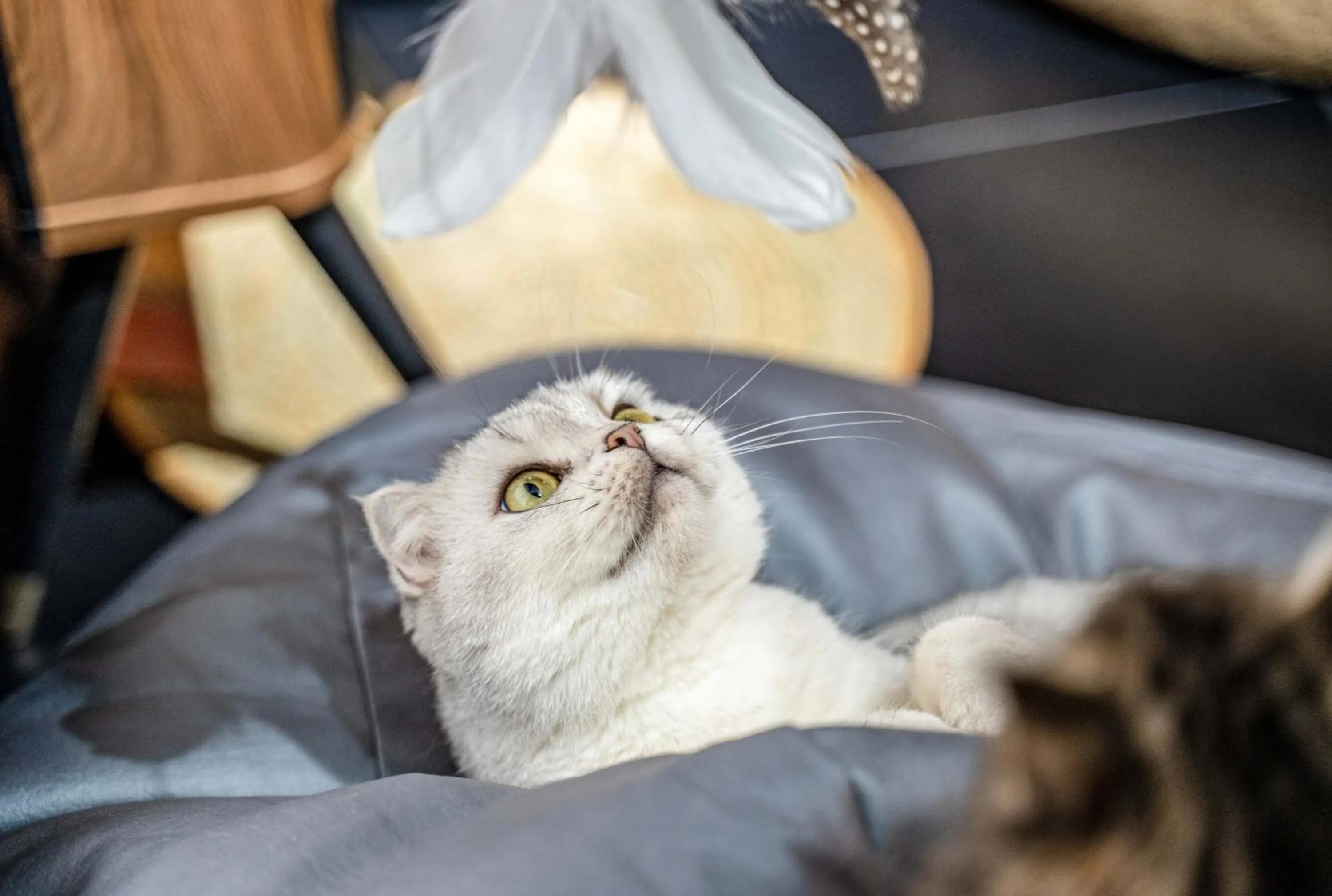 HeSu Hidden Art Hotel & Suites -Near Xi'an Drum Tower and Yongning Gate -Free Laundry Luggage Storage -Kitty Café with Freshly Ground Coffee -24H Front Desk -English Service -Exclusive Subsidies for Dumpling Banquet & Show