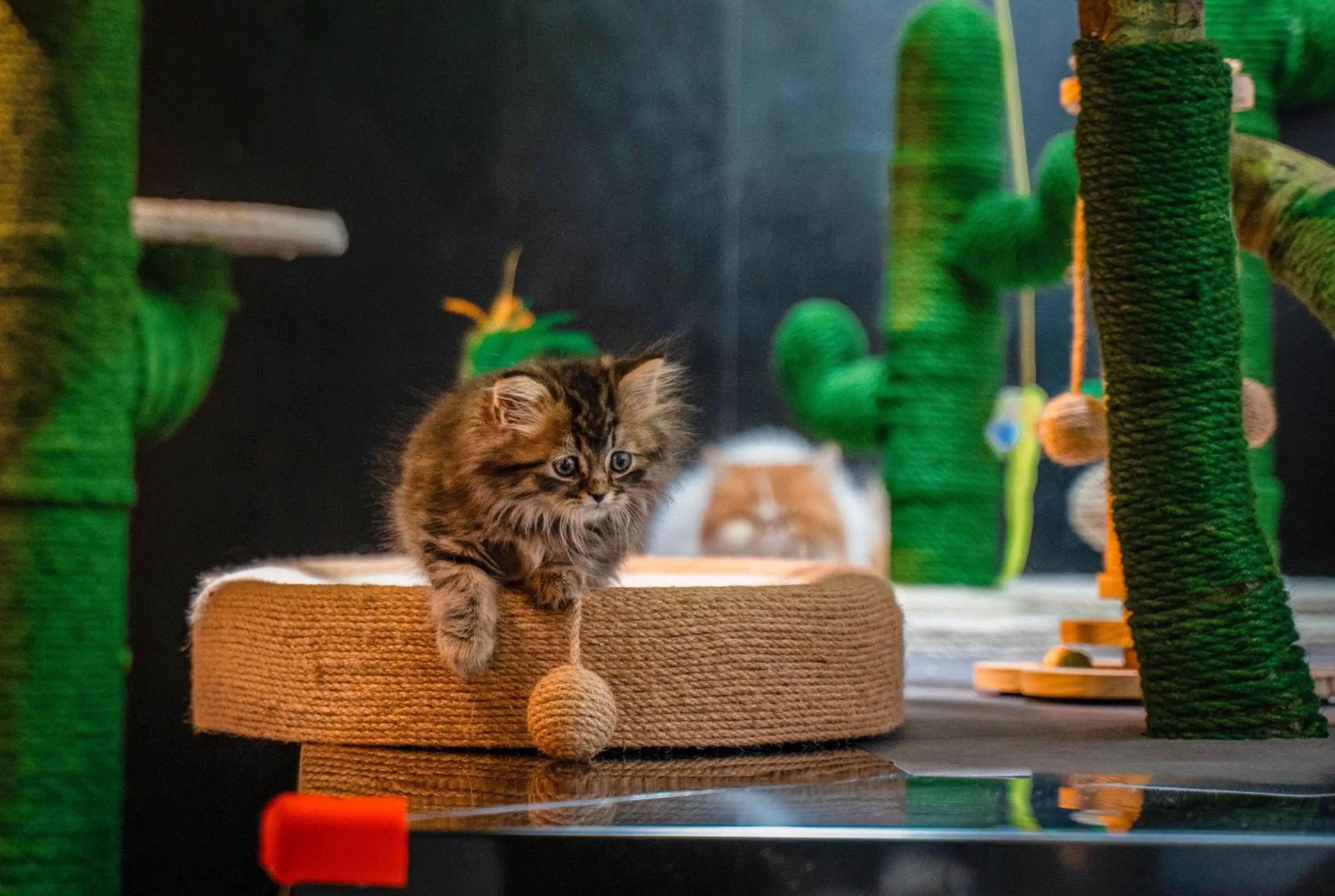 HeSu Hidden Art Hotel & Suites -Near Xi'an Drum Tower and Yongning Gate -Free Laundry Luggage Storage -Kitty Café with Freshly Ground Coffee -24H Front Desk -English Service -Exclusive Subsidies for Dumpling Banquet & Show