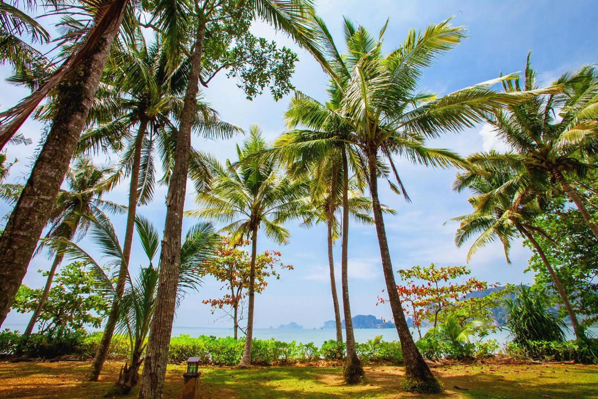 Garden in Amatapura Beach Villa 6