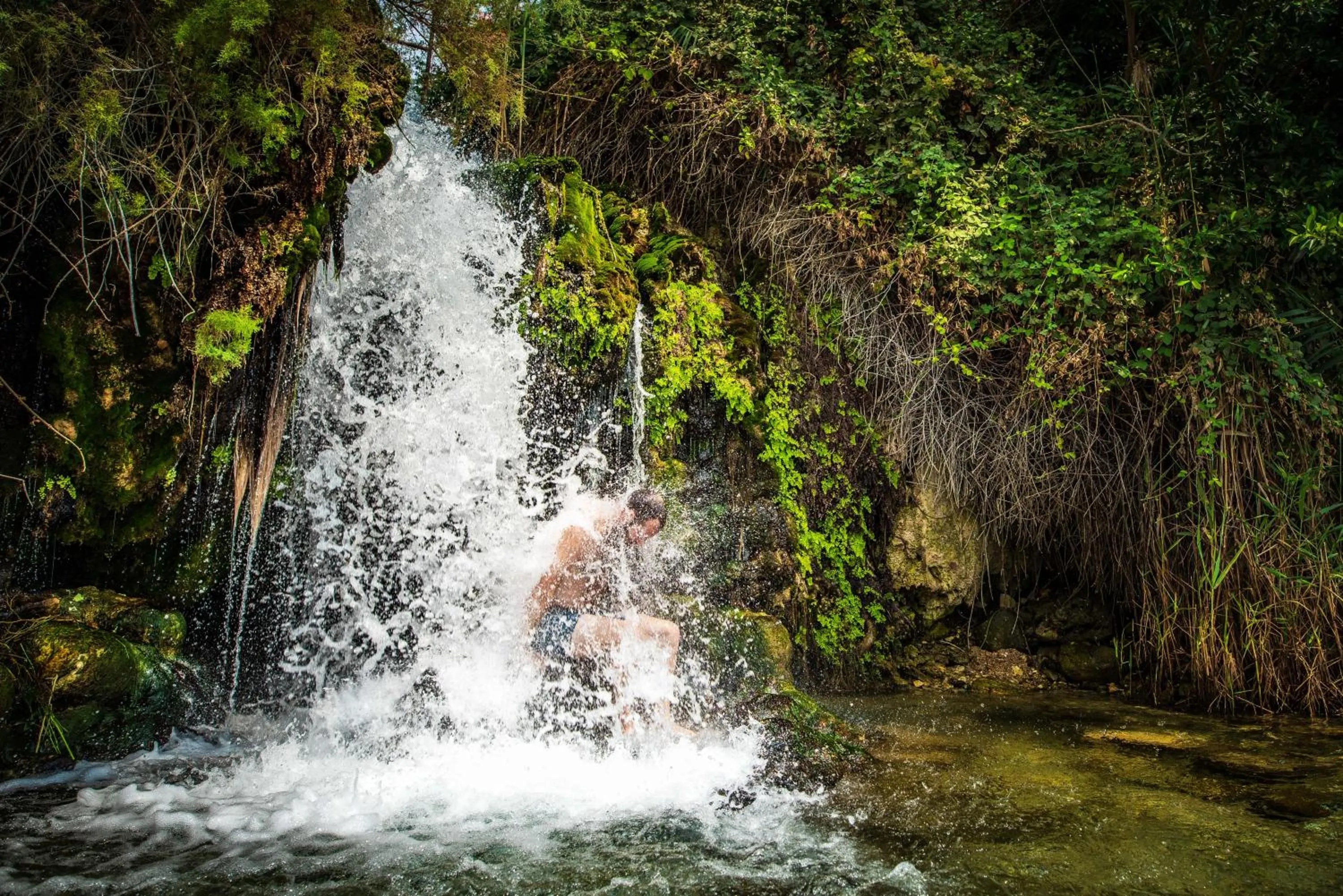 Natural landscape in Astoria Galilee Hotel